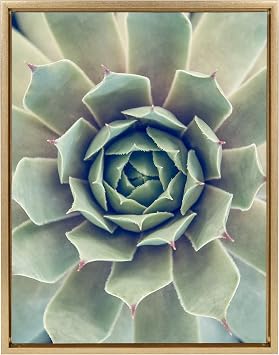 Kate and Laurel Sylvie Succulent 1 Color Photograph Framed Canvas Wall Art by F2 Images, 18x24 Gold