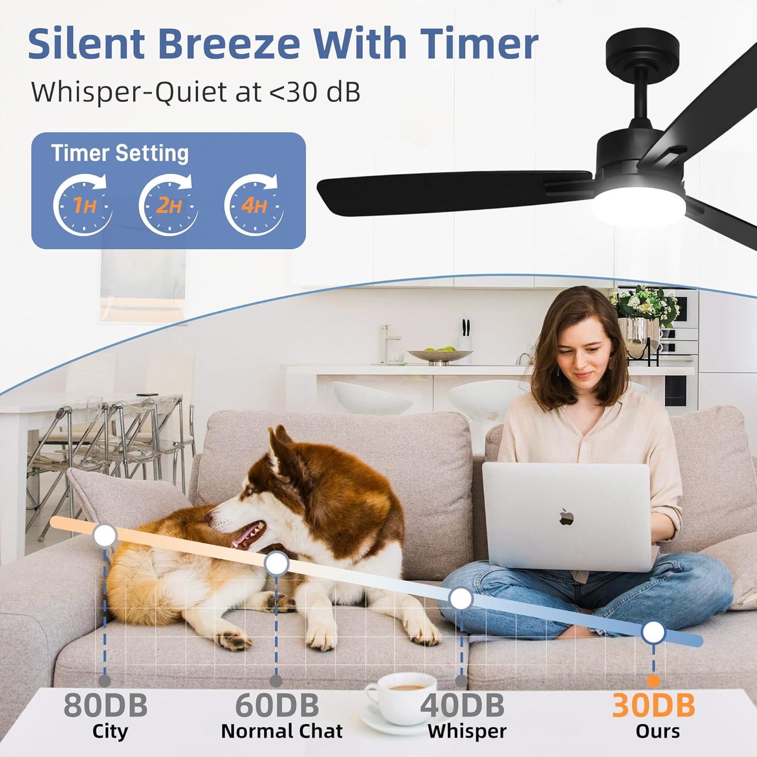 Infographic showing noise levels, indicating the fan operates at a whisper-quiet level below 30 dB.