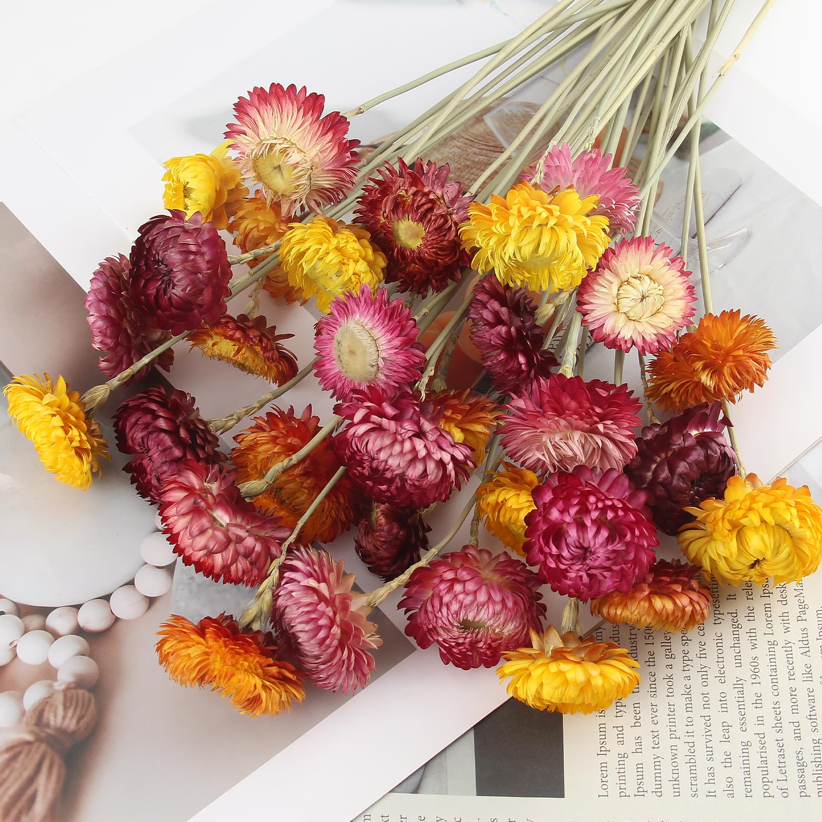 Fiori Secchi Naturali Margherita Composizione 32 Pezzi Stabilizzati per Matrimoni Decorazioni Casa