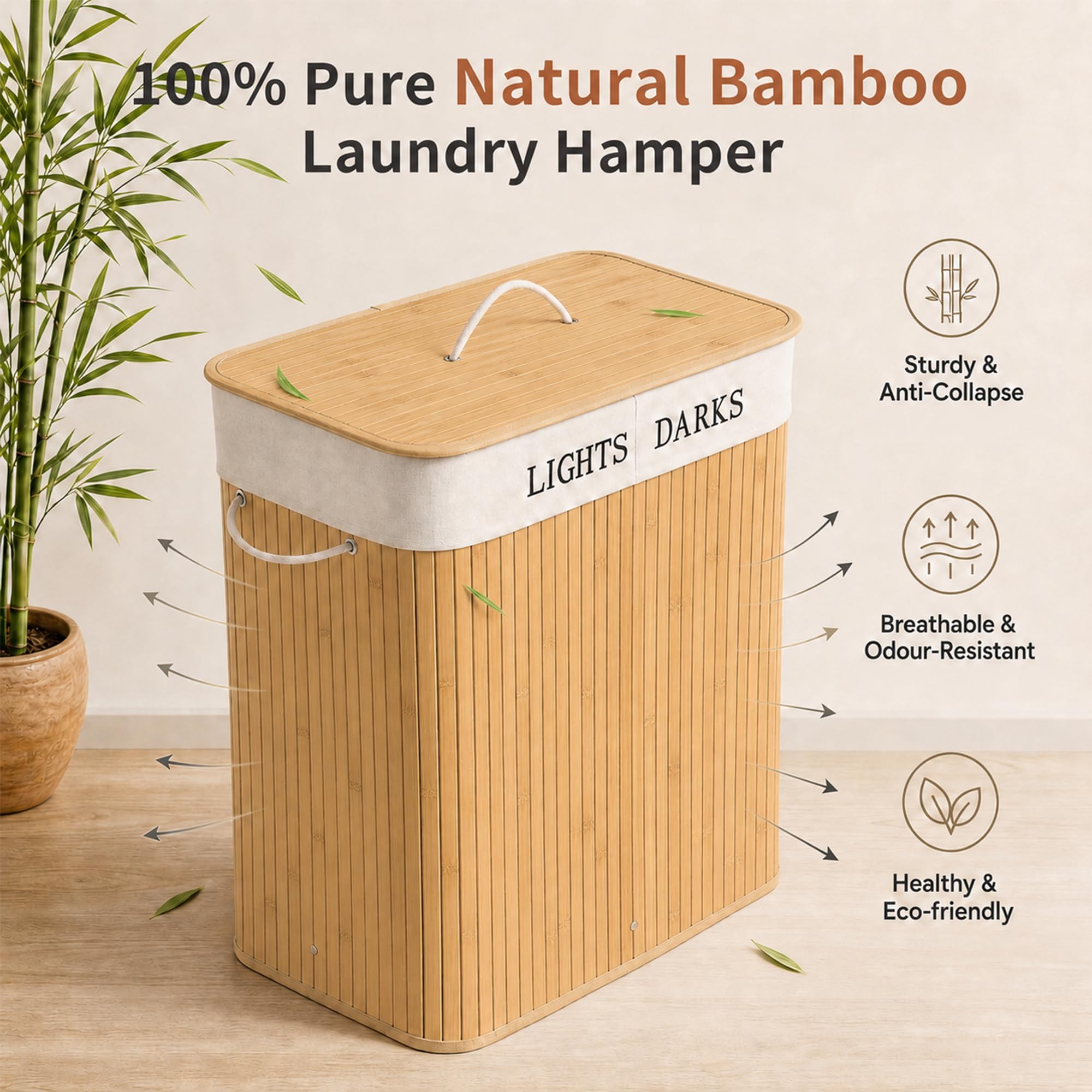 View 3