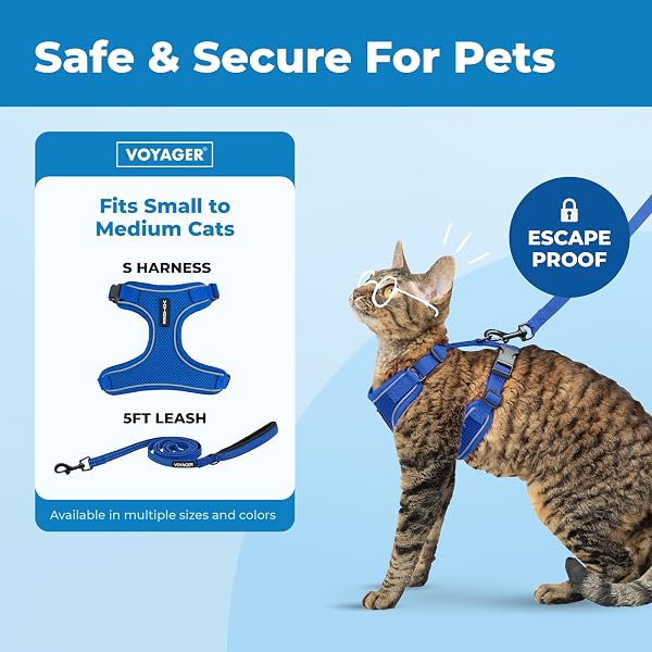 Voyager Escape Proof Cat Harness and Leash Set with Reflective Stitching, Neoprene Handle 5ft - Supports Small, Medium and Large Cats, Kittens for Walking by Best Pet Supplies - Royal Blue, S - 2
