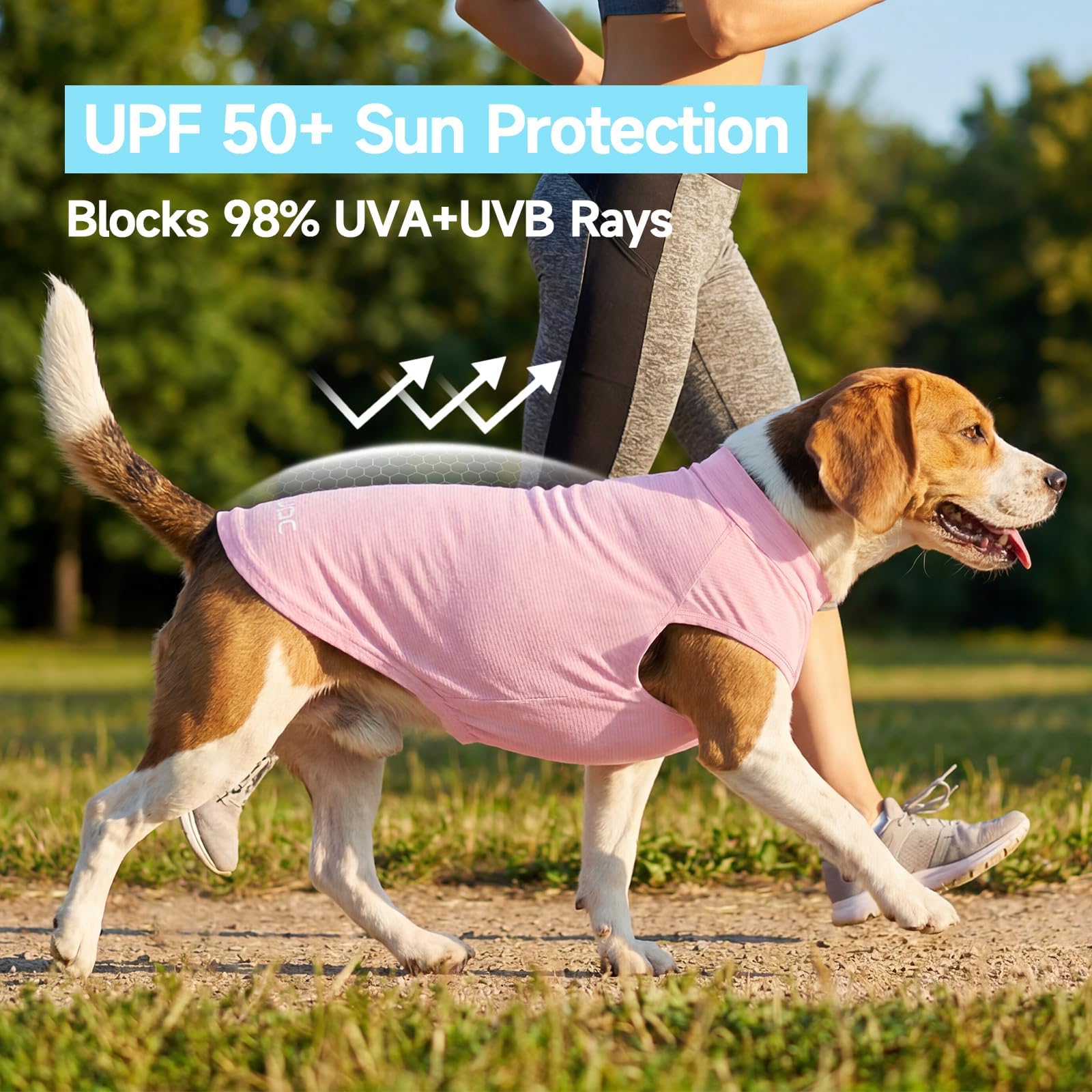 XPUDAC Paquete de 2 camisetas de protección solar para perros, de secado rápido, transpirables, elásticas, ligeras, sin mangas, ropa de verano para mascotas para perros pequeños, piel sensible, suave