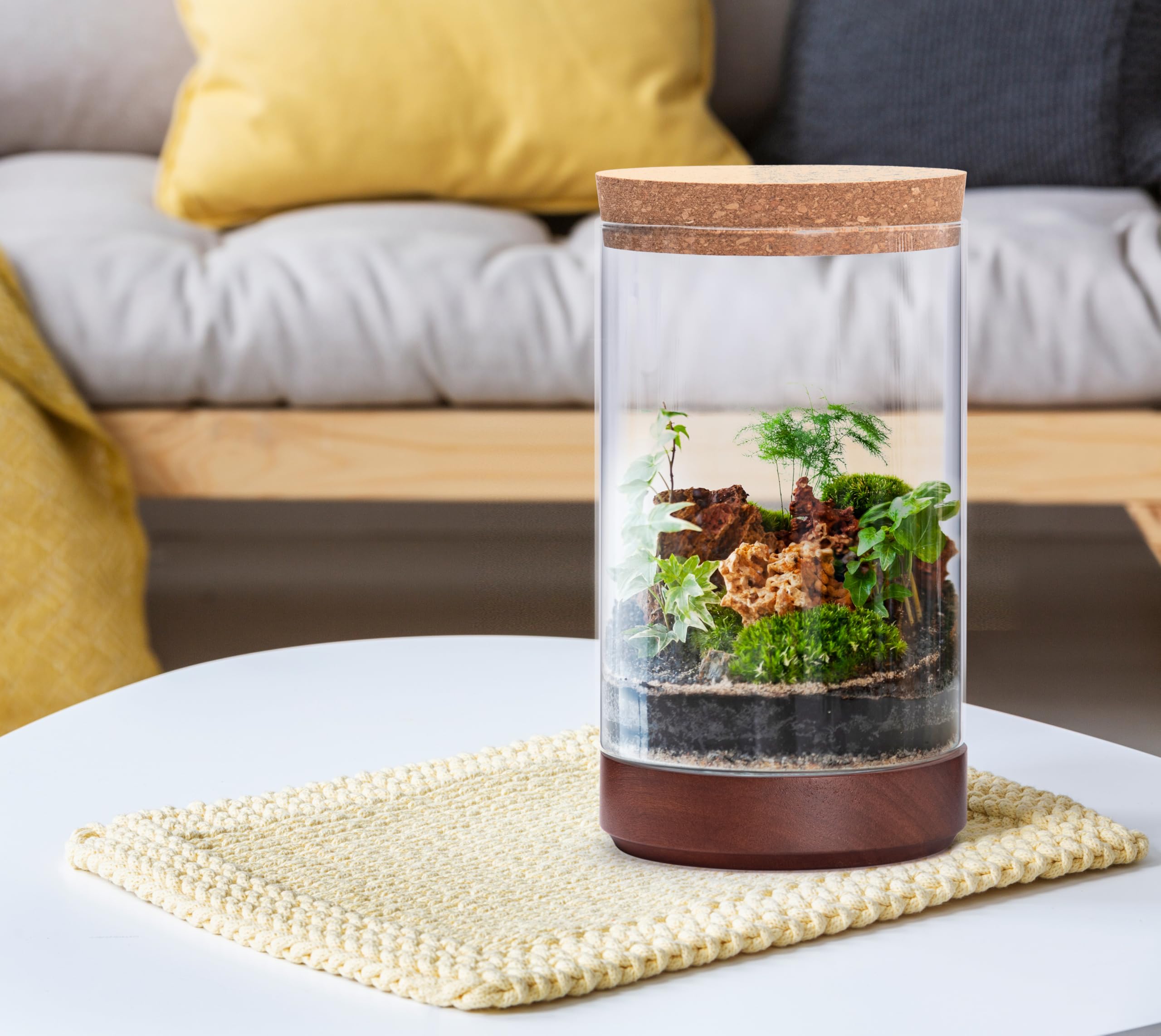 Maceta de terrario de cristal transparente para plantas de interior, 6 pulgadas de ancho x 10 pulgadas de alto, terrario cilíndrico con base de madera y tapa de corcho, decoración de mesa versátil