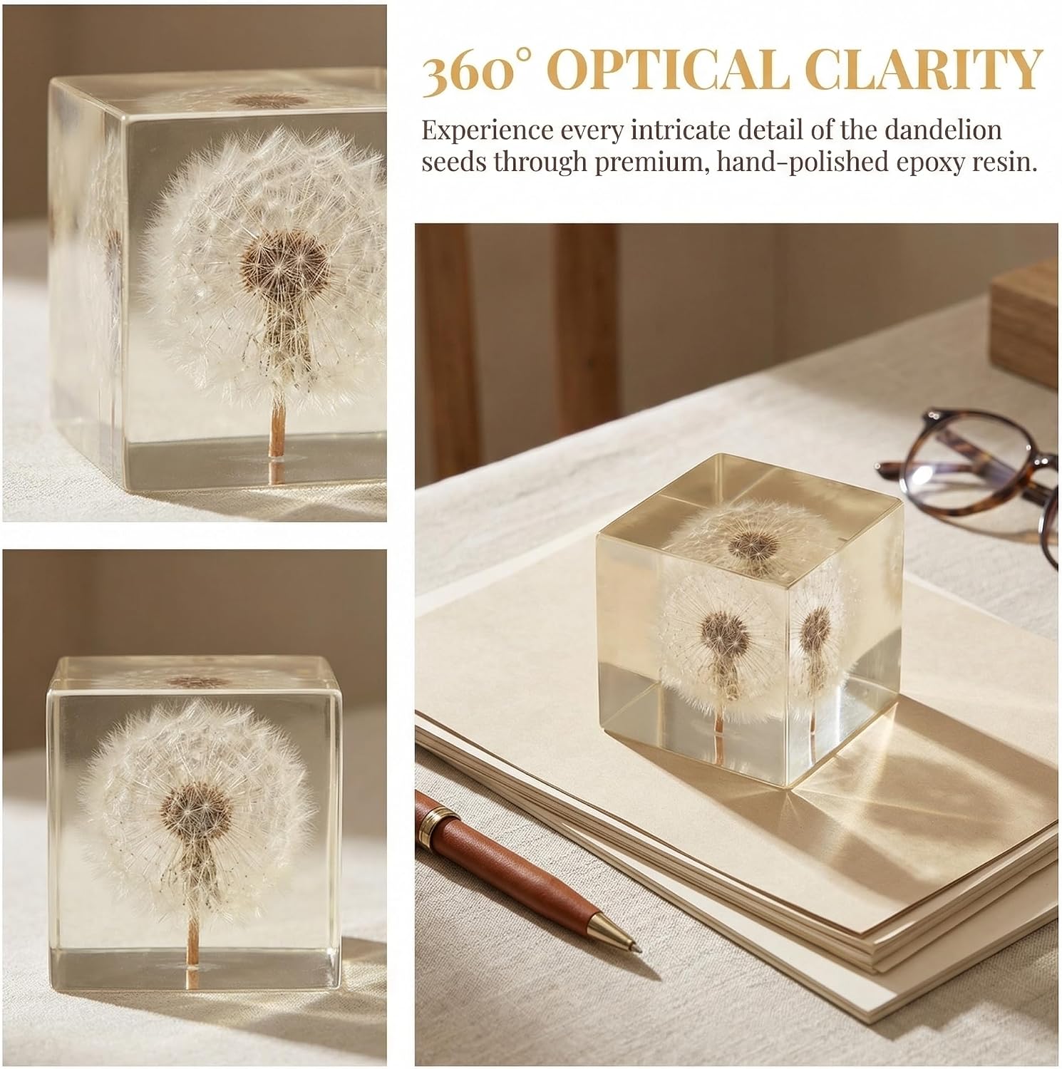 Real Dandelion Specimen in Crystal Clear Resin Cube, 2 Inch 3D Preserved Dandelion Puff Paperweight with Wooden Box, Natural Plant Decor for Home Office Gift