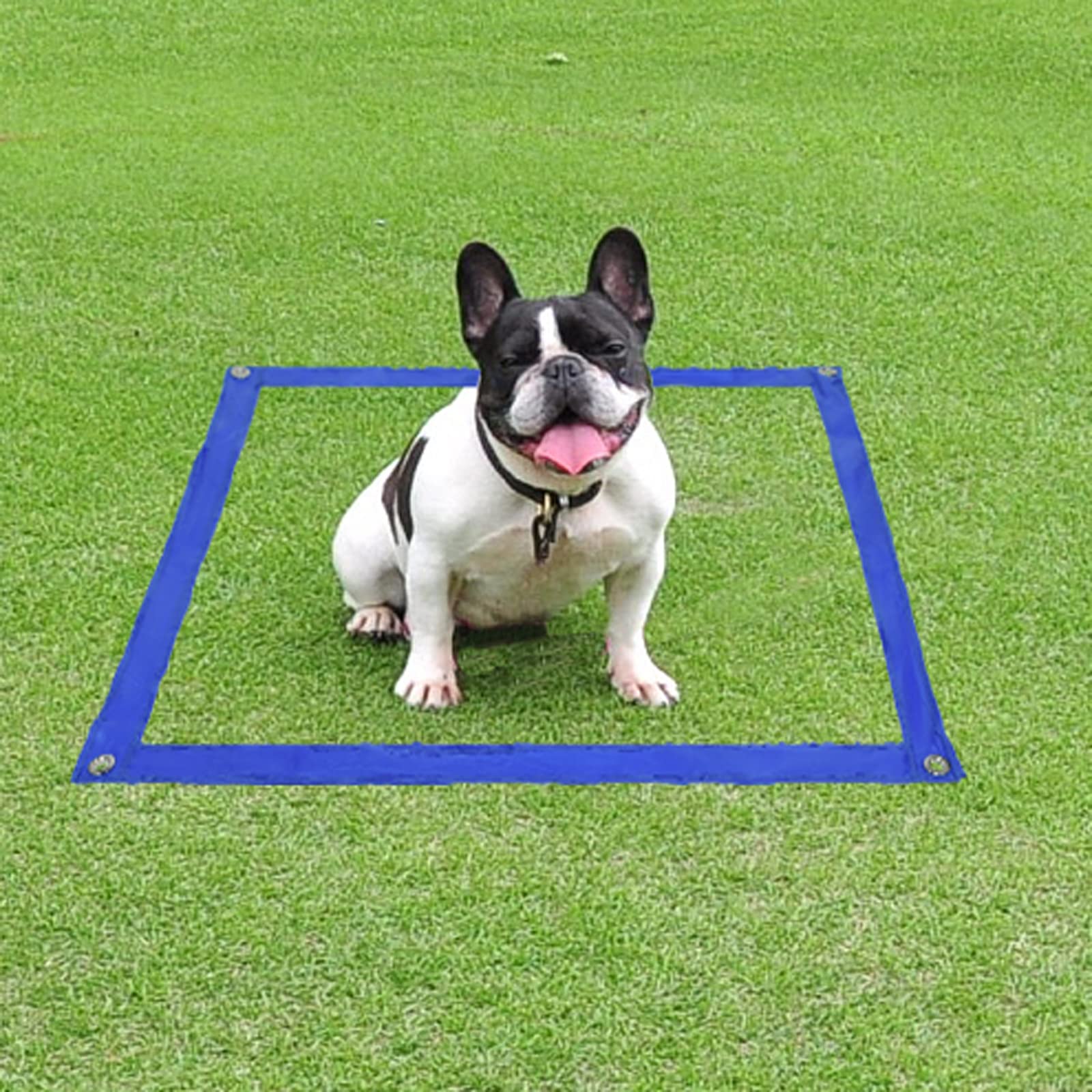 Agility zestaw wyposażenia dla psów, do treningu psów, akcesoria z drążkiem do płot, tunel dla psa, tunel do treningu, plecione drążki, torba do przenoszenia