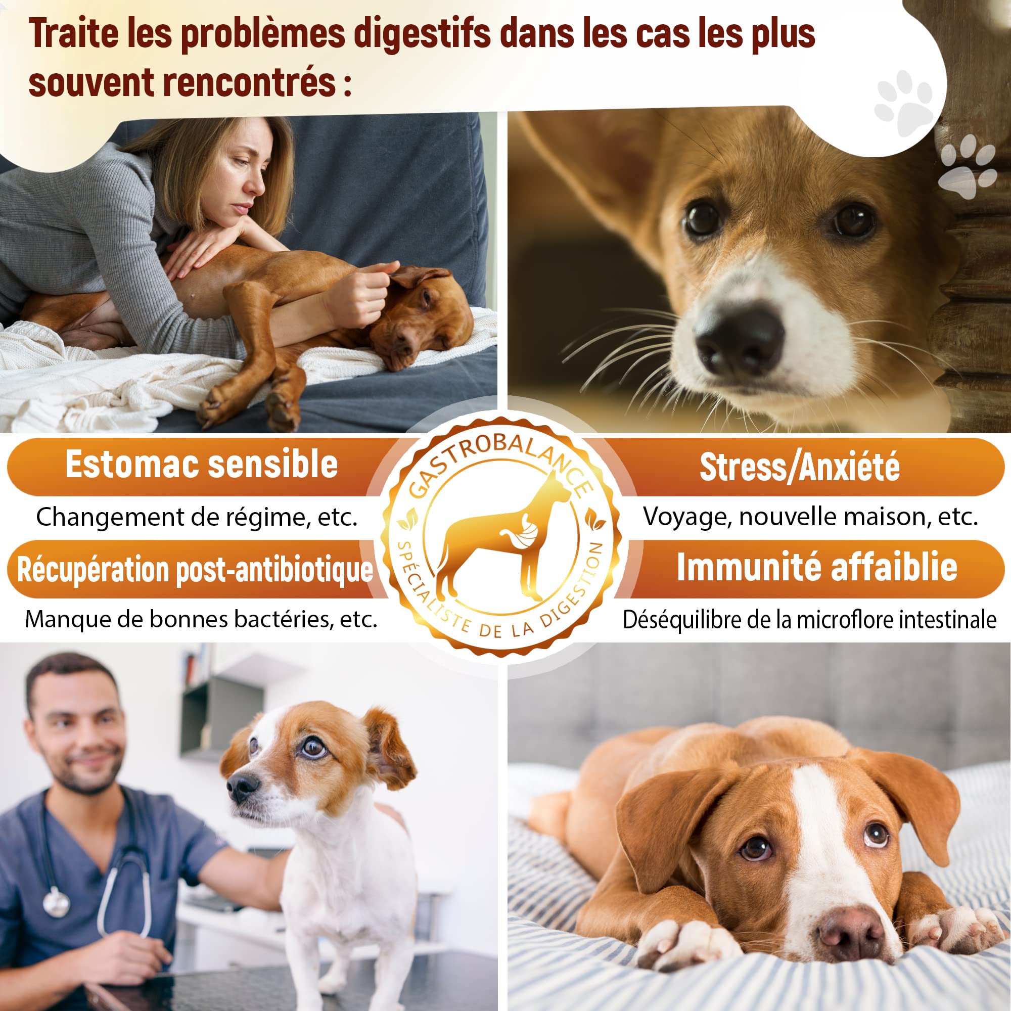 Traitement Chien probiotique – 60 croquettes Naturelles probiotique Flore intestinale Chien - Goût Bacon (Francais)