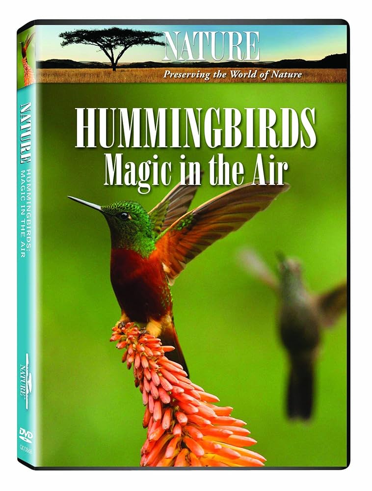 その他 Video Guide to Hummingbirds [DVD] Amazon.com: Nature: Hummingbirds : ., .: Movies & TV