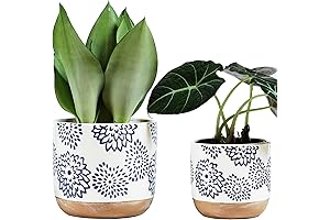 Stoneware Ceramic Garden Pottery Plant Pots