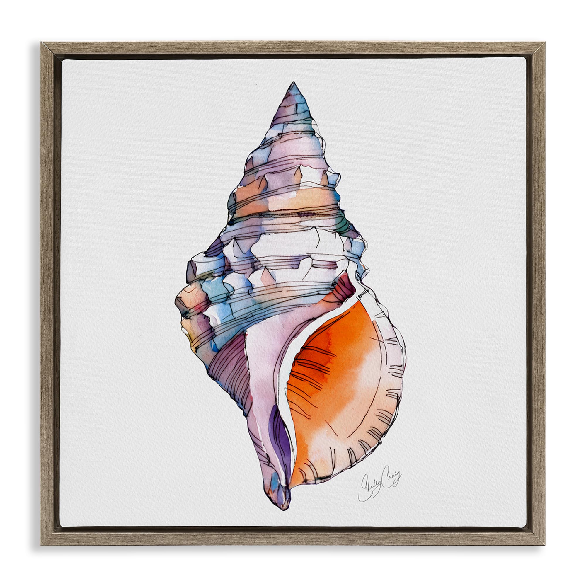 Stupell Industries Montalcino Elm (Textured) 'Sunrise Conch Shell'| Floating Frame Canvas Art