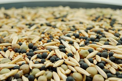 Miniatura 2 de Cubre la mezcla de semillas de cultivos de Eretz (25 libras). Elige el tamaño. Willamette Valley, cultivadas en Oregon, sin OMG, sin rellenos, sin