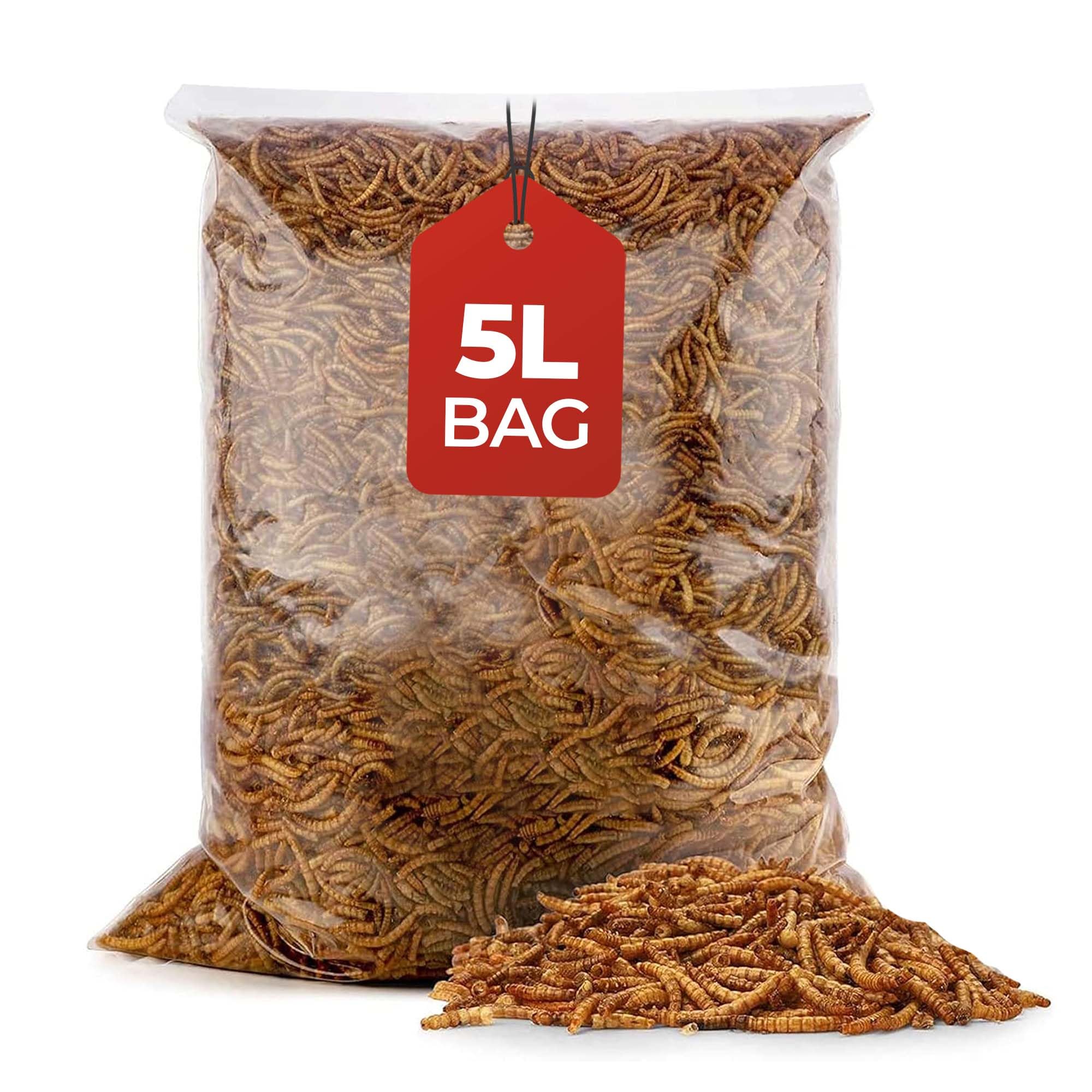 Beewarm 5L Bag, Sunflower Hearts, Bird Seed, Bird Food, Sunflower Seeds, Sunflower Hearts Bird Food, Wild Bird Food, Bird Feed, Bird Seeds for Small Garden Birds, Sunflower Seeds Birds, Birdseed — view 15