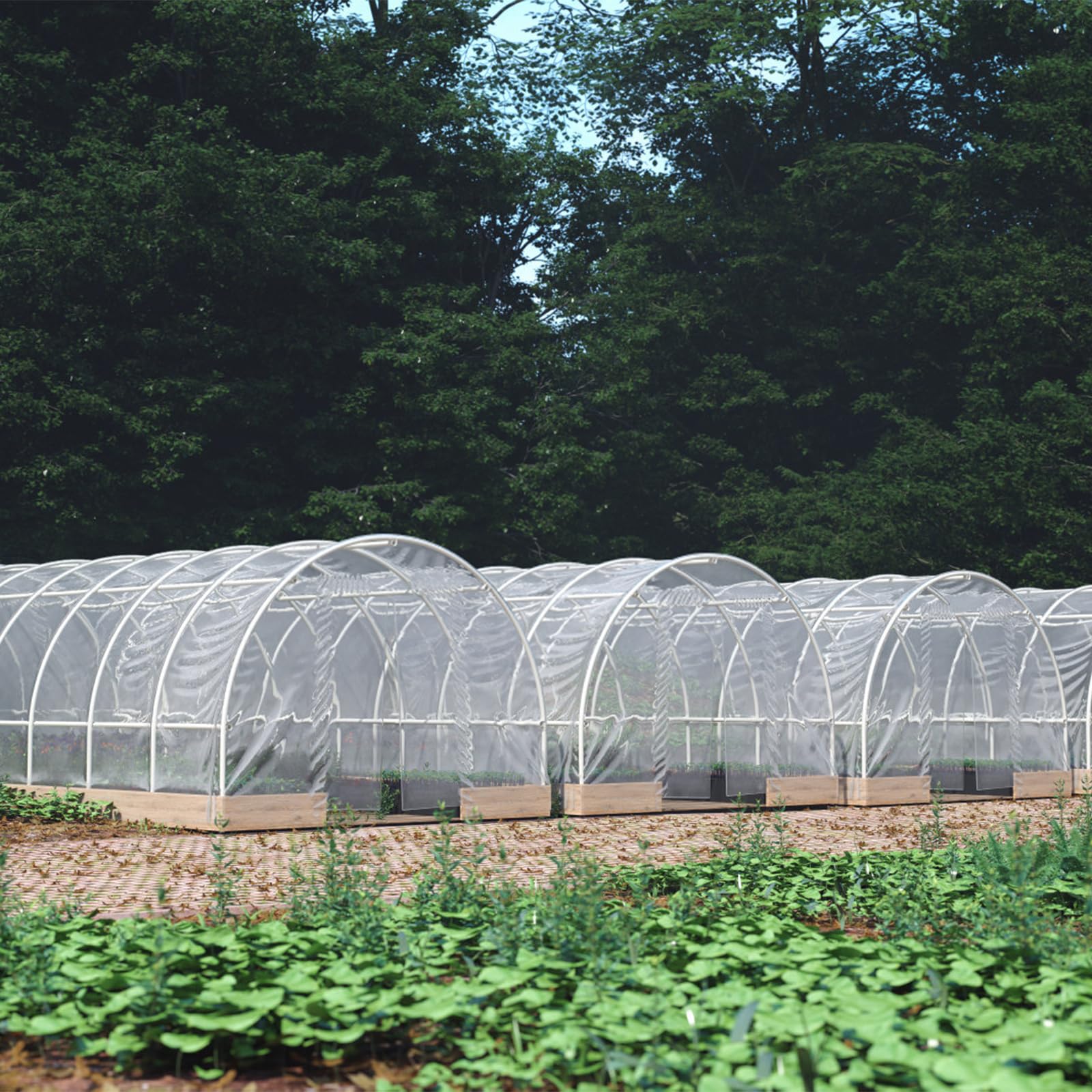 2 Stück 2.5x6M Gemüseschutznetz – Insektenschutznetz | Wiederverwendbar Pflanze Gemüsenetz, Laubschutznetz, Insektennetz für Obstbäume. Schützen Gemüse vor Insekten.