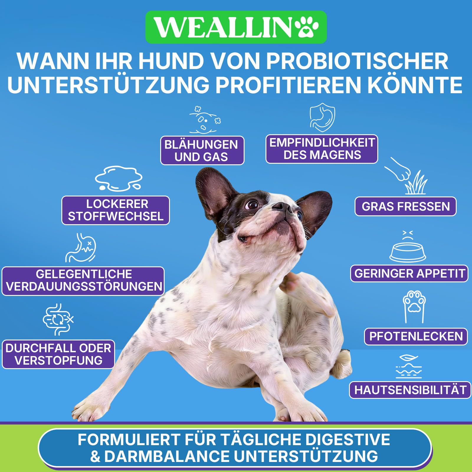 WEALLIN Probiotika für Hunde, Präbiotika für die Darmgesundheit – Unterstützt die Verdauungsgesundheit und die Nährstoffaufnahme – 200 Weiche Kaudrops zur Unterstützung der Hautgesundheit