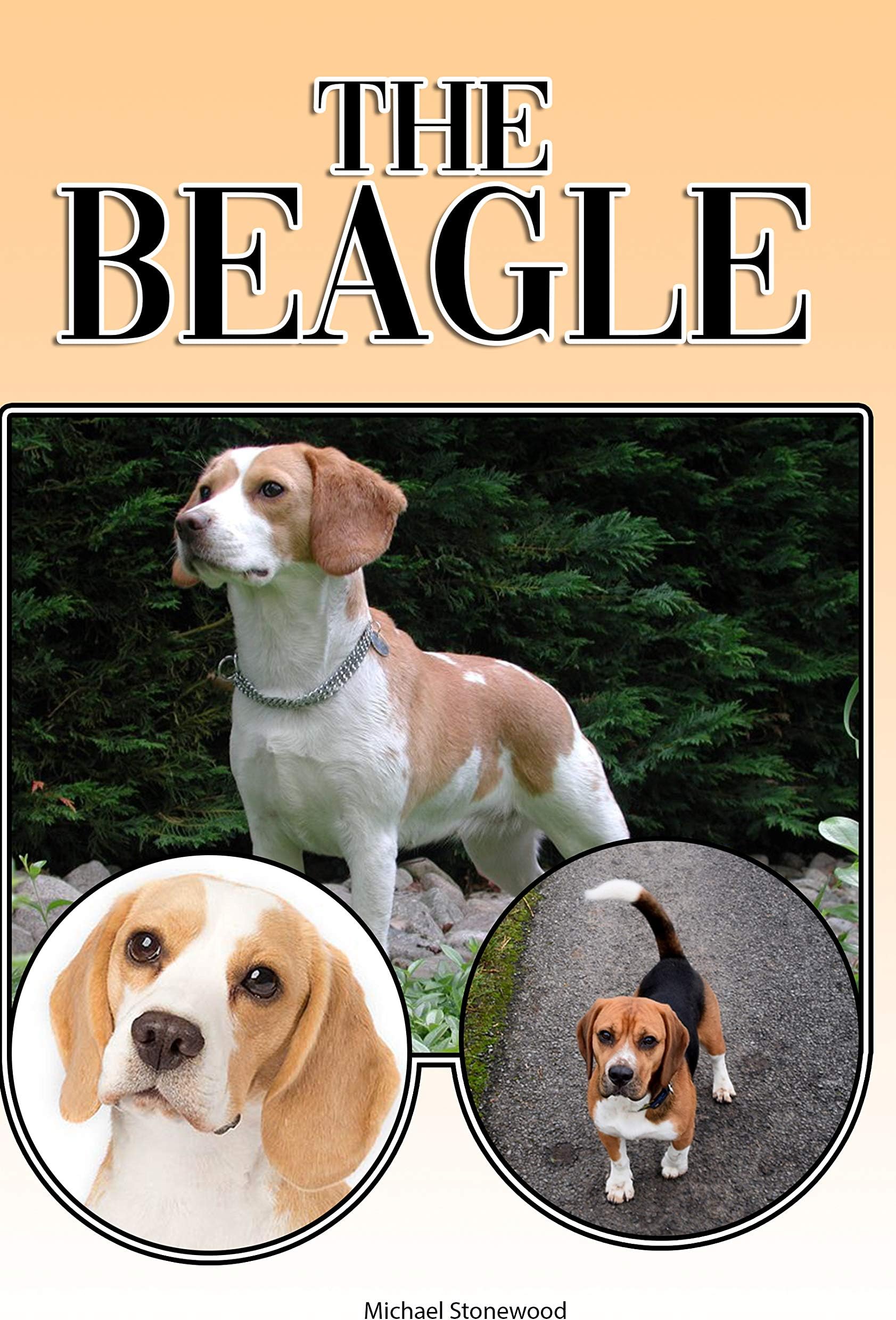The Beagle: A Complete and Comprehensive Beginners Guide to: Buying, Owning, Health, Grooming, Training, Obedience, Understanding and Caring for Your Beagle