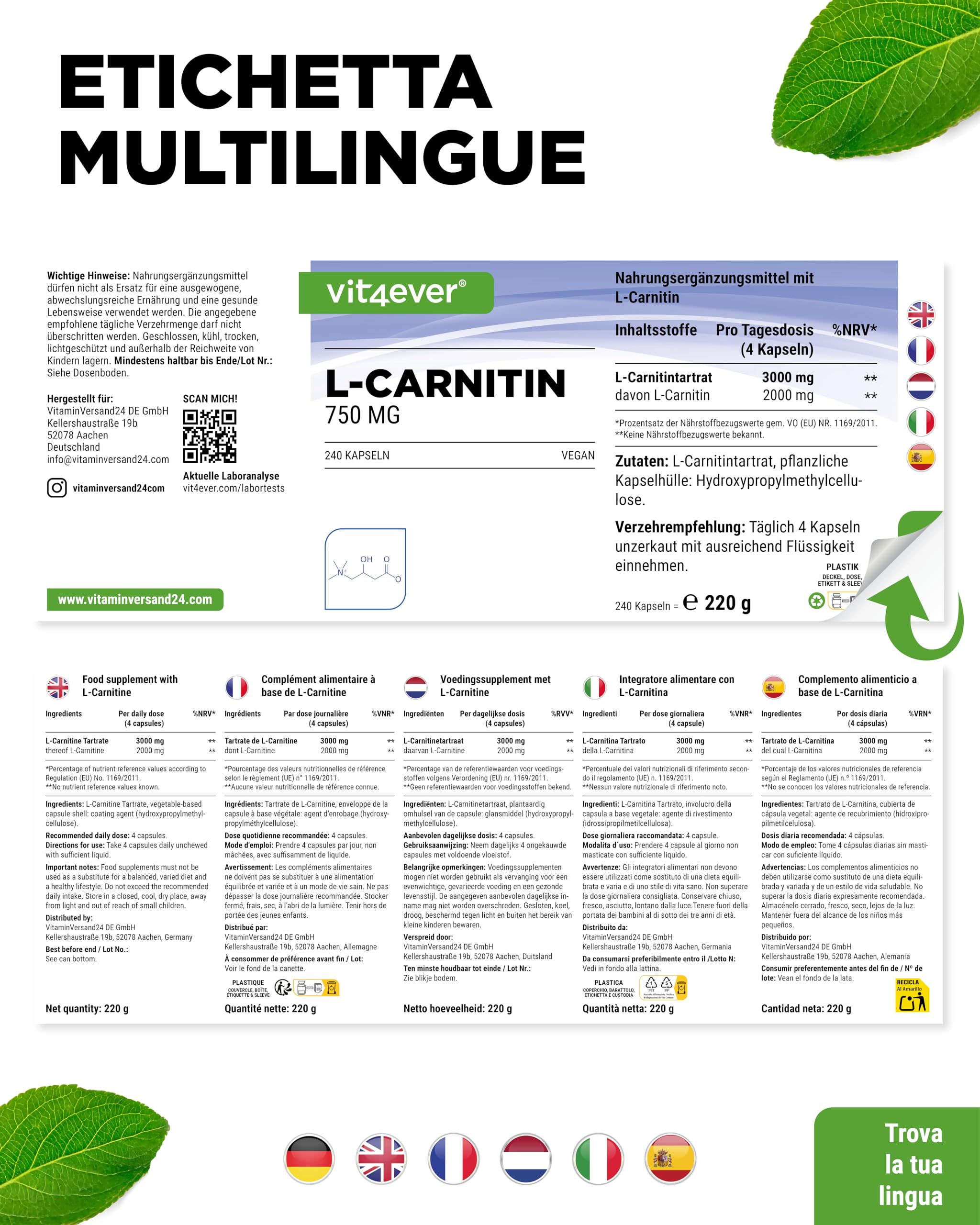 L-Carnitina - 240 Capsule - Alto Dosaggio con 3000 mg per Porzione giornaliera - Premium: 100% L-Carnitina tartrato - Senza additivi - Senza glutine e senza lattosio - Vegano
