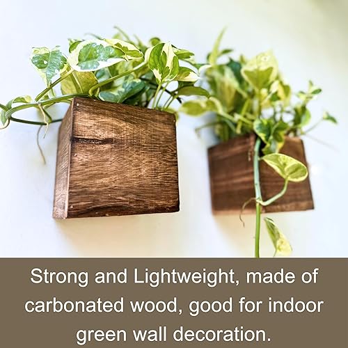 Miniatura 3 de LaLaGreen - Paquete de 4 maceteros cuadrados de madera de 4 pulgadas + 2 unidades, cesta colgante de metal de 30 pulgadas con forro de coco, soporte