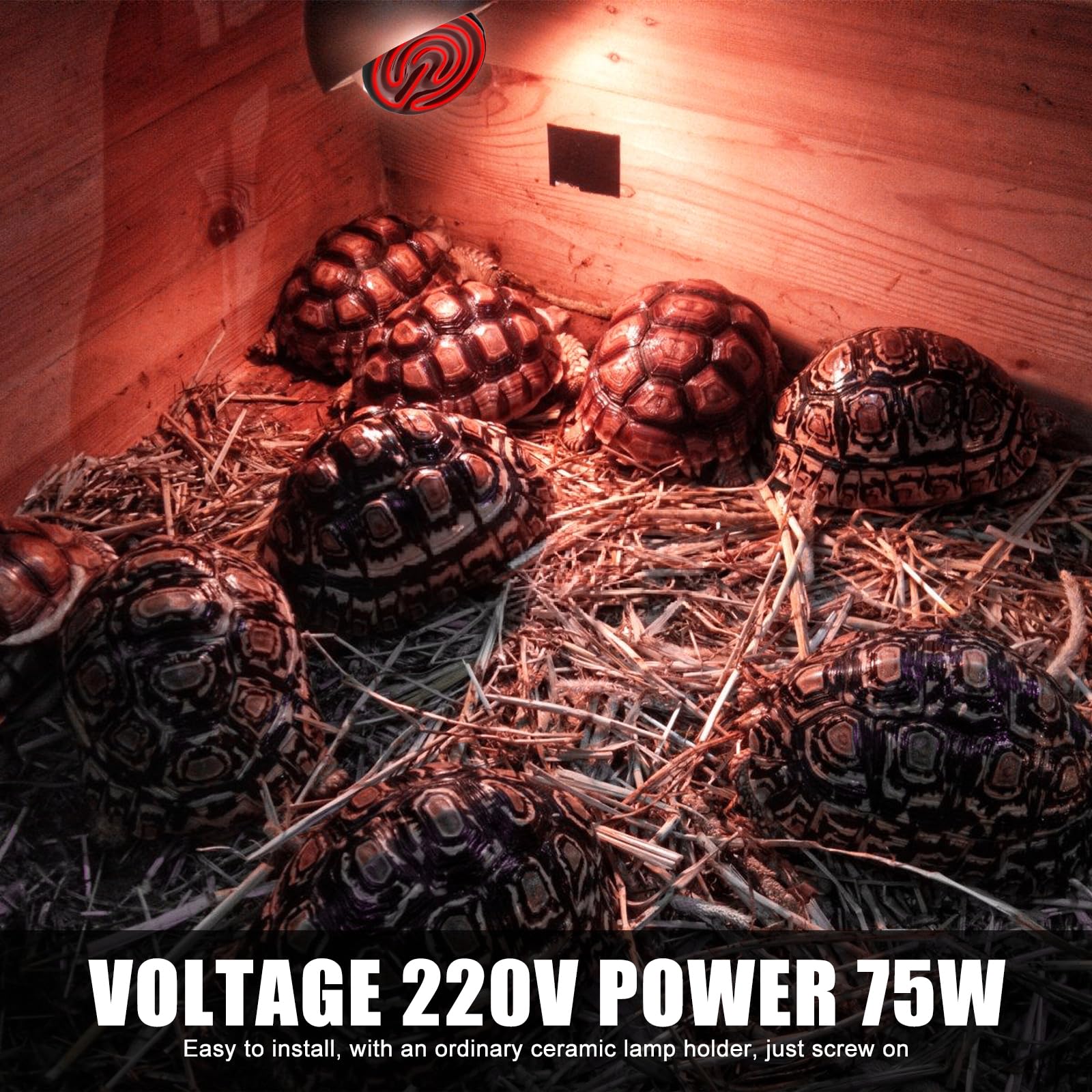 Ceramiczna lampa grzewcza 75 W, 220 V, E27, ceramiczna, na podczerwień, ceramika, zwierzęta, lampa grzewcza dla płazów, żółwia, jaszczurki, węża, pająka, pisklęta, psa, kota (75 W)