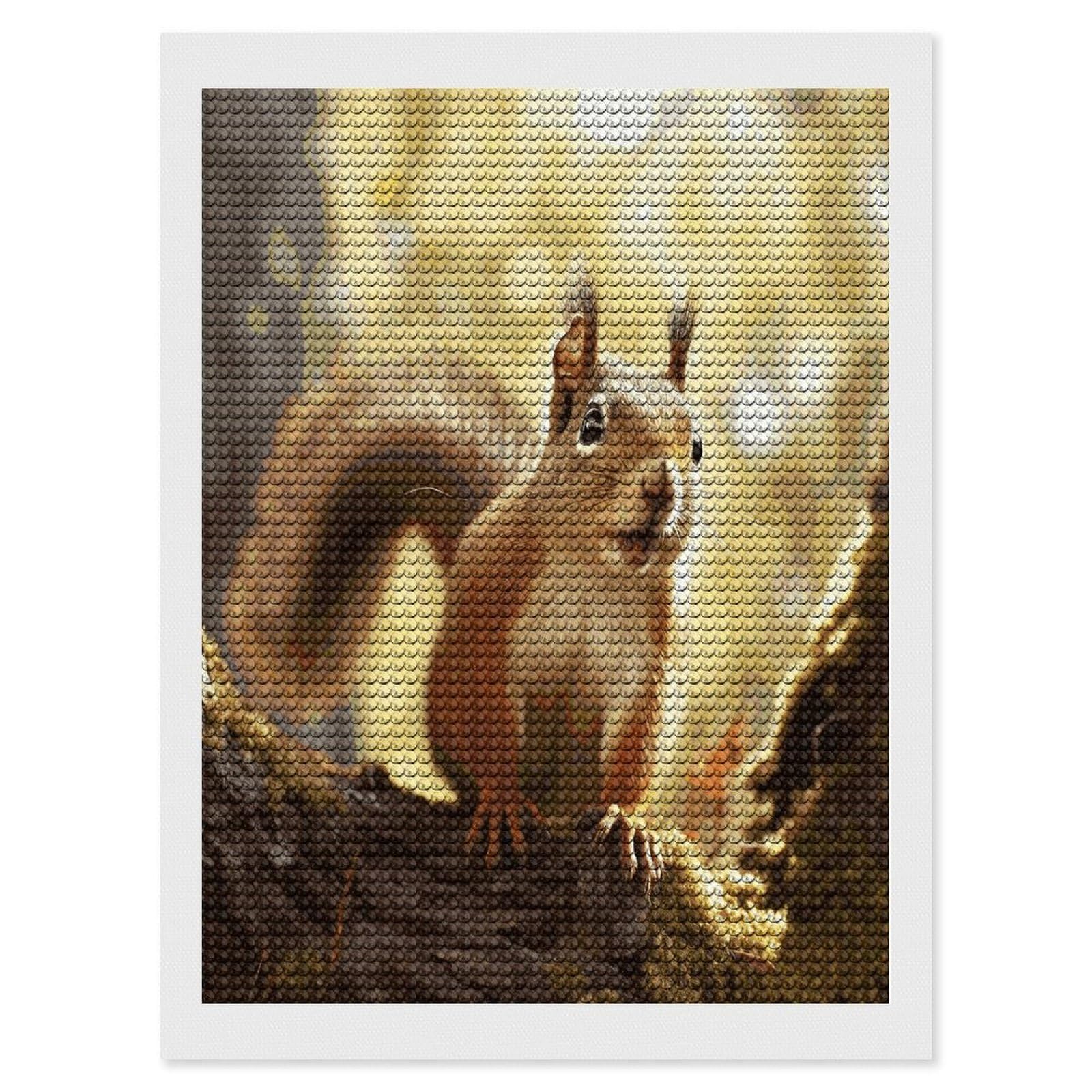 FekiLoot Funny Squirrel Diamond Art Kits for Adults Diamond Painting Kits for Beginners DIY Diamond Art Kits Round Full Drill Diamond Dot Gem Painting for Home Wall Decor Gift 12"x16"
