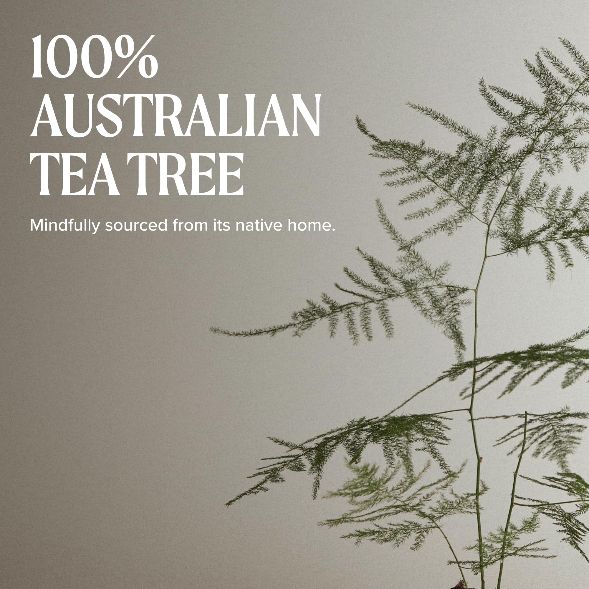 Paul Mitchell Tea Tree Lavender Mint Moisturizing Acondicionador - 1000 ml (S-PM-197-D9)