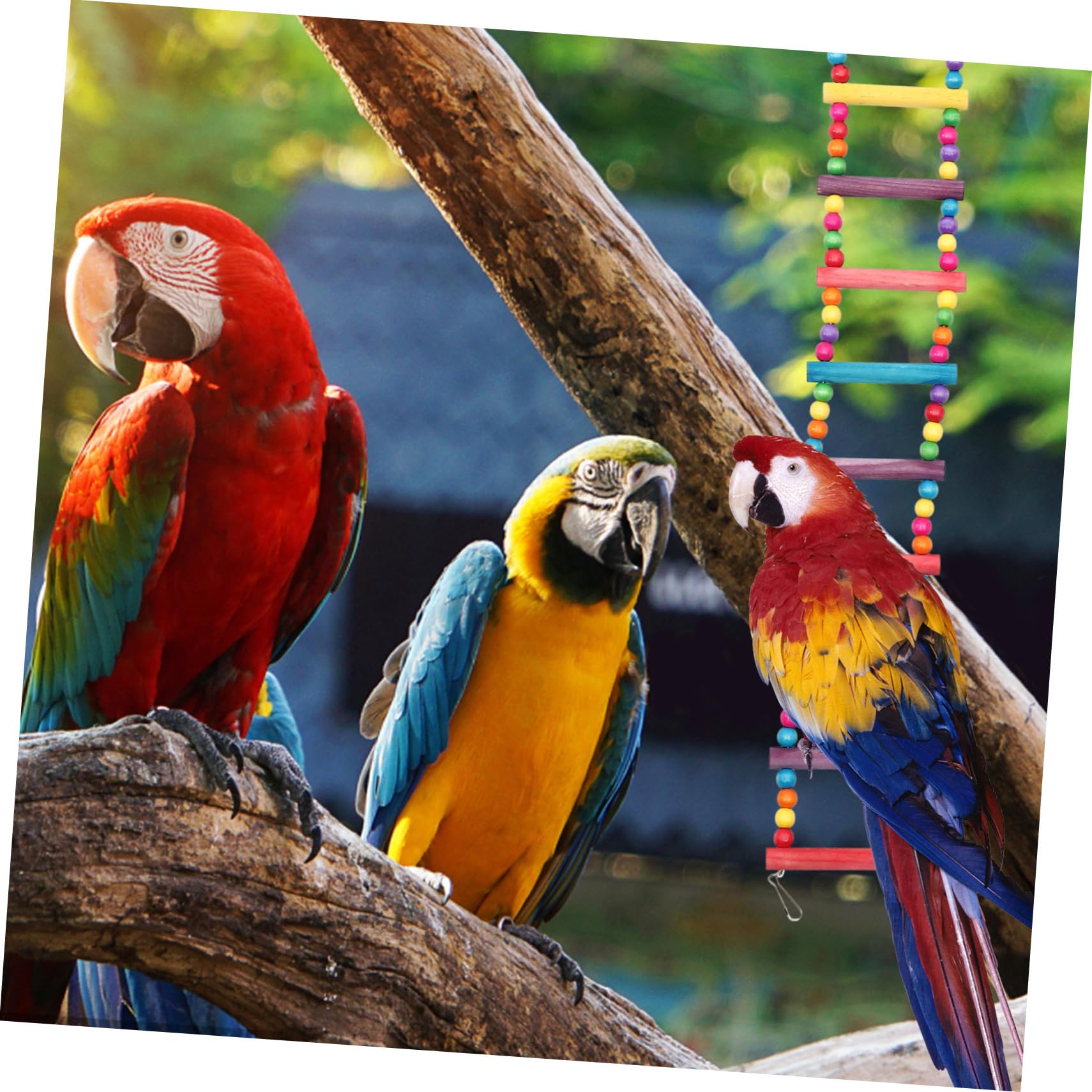 BUGUUYO Parrot Cage Ladder Bird Hanging Ladder Claw Grinding Toy and Health Improvement Features