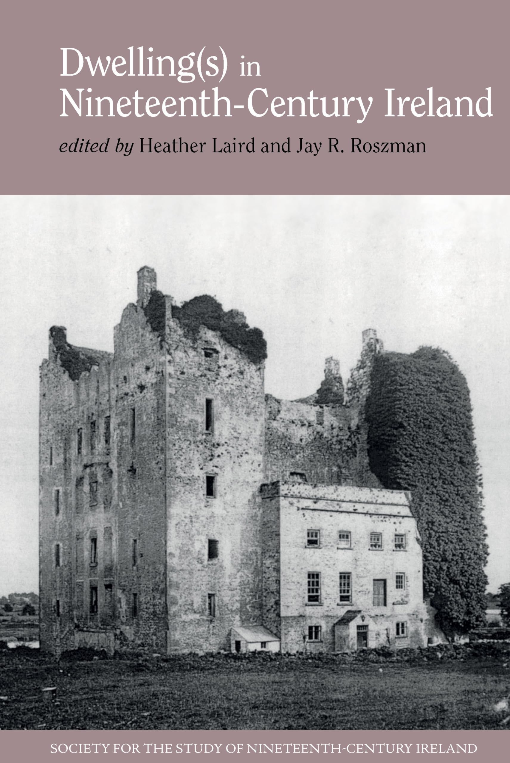 Dwelling(s) in Nineteenth-Century Ireland: 9 (Society for the Study of Nineteenth Century Ireland, 9)