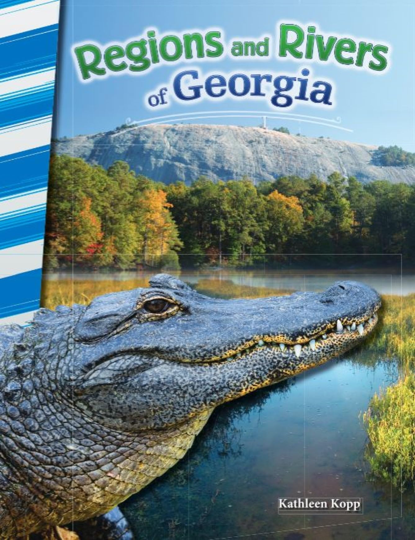 Regions and Rivers of Georgia (Social Studies Readers)