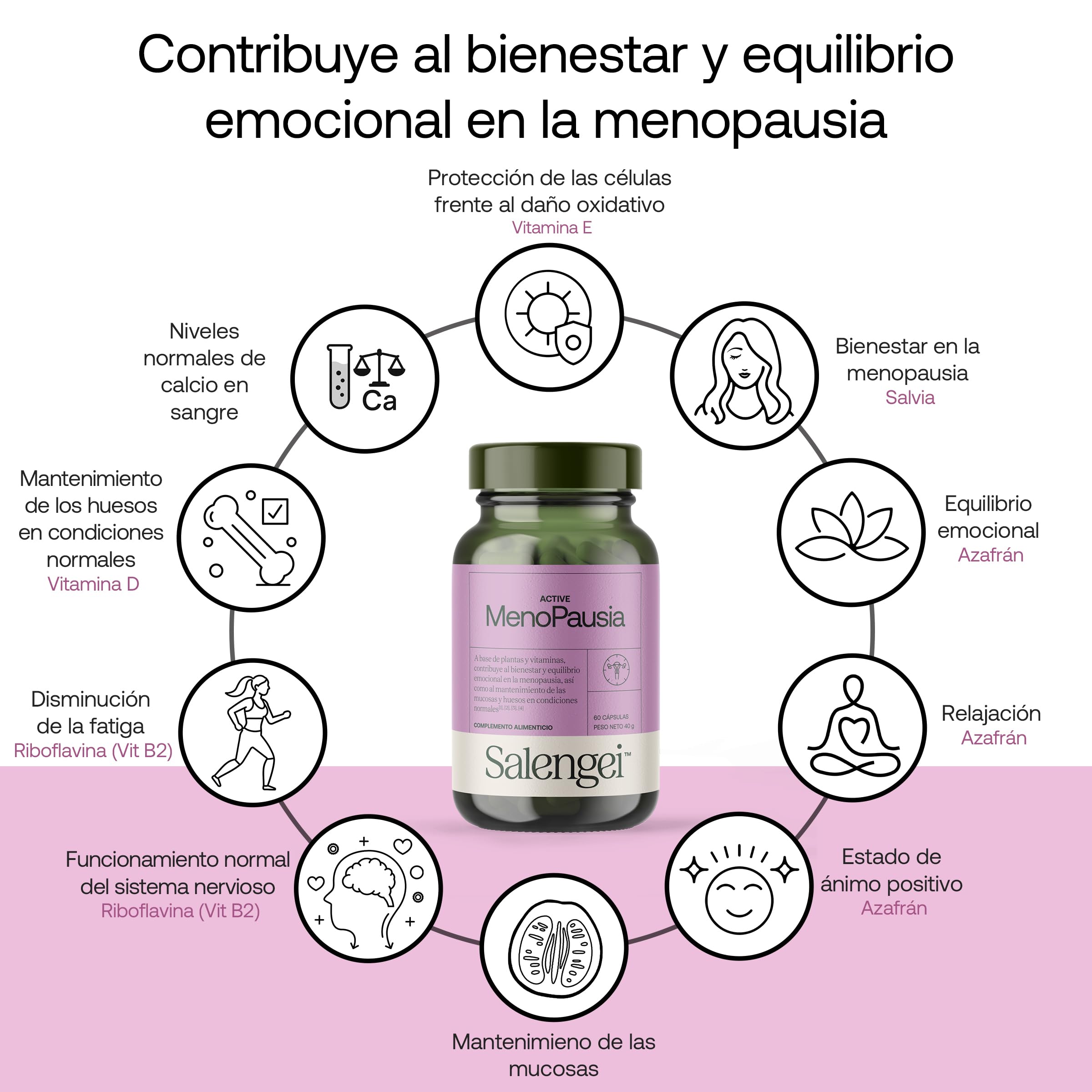 ACTIVE MENOPAUSIA – Salvia, té verde, isoflavonas de soja, resveratrol y vitaminas | Bienestar y equilibrio emocional en la menopausia | Salud ósea y nerviosa | 60 cápsulas de 667 mg