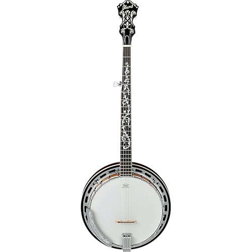 Ibanez B200 5 String Banjo w/Basswood Rim