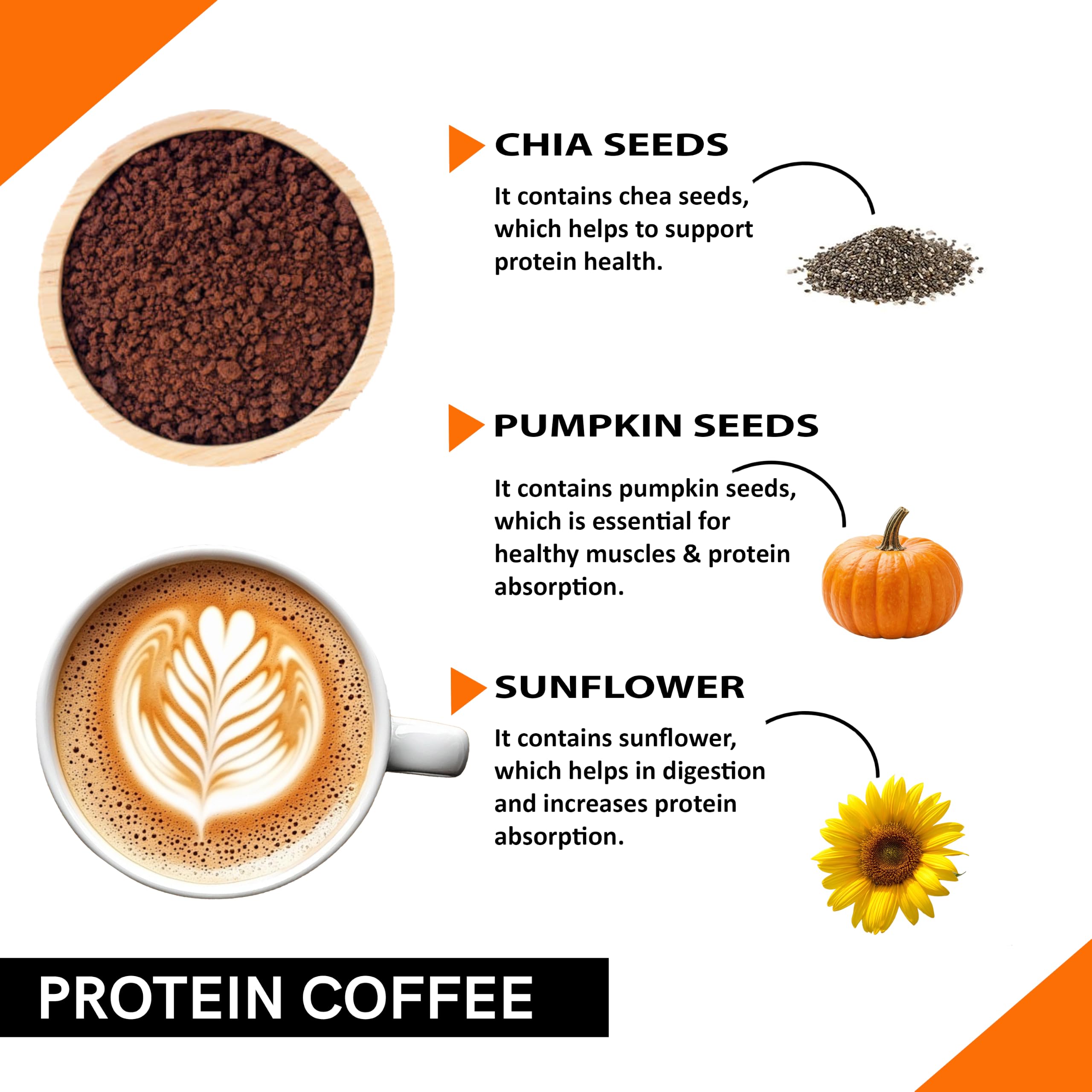 Coffeecurry Protein Instant Coffee (65 Gram) - Supports Protein Absorption, Energy, & Metabolism | Plant Based |Daily Energy Coffee Blend — Amazon image 4