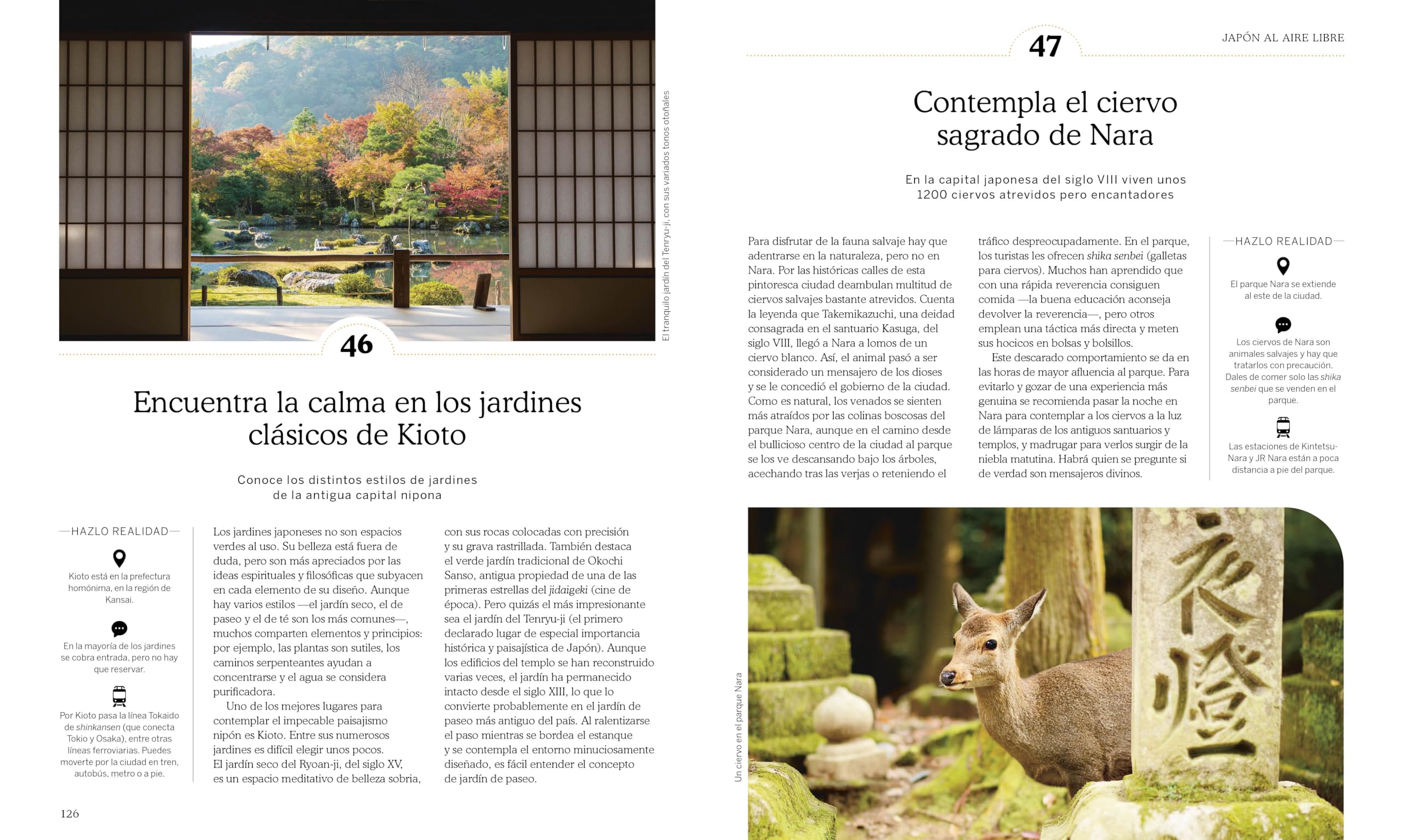 Destino Japón (Guías Visuales. Viajes para regalar): 100 ideas para una aventura inolvidable (Guías de viaje)