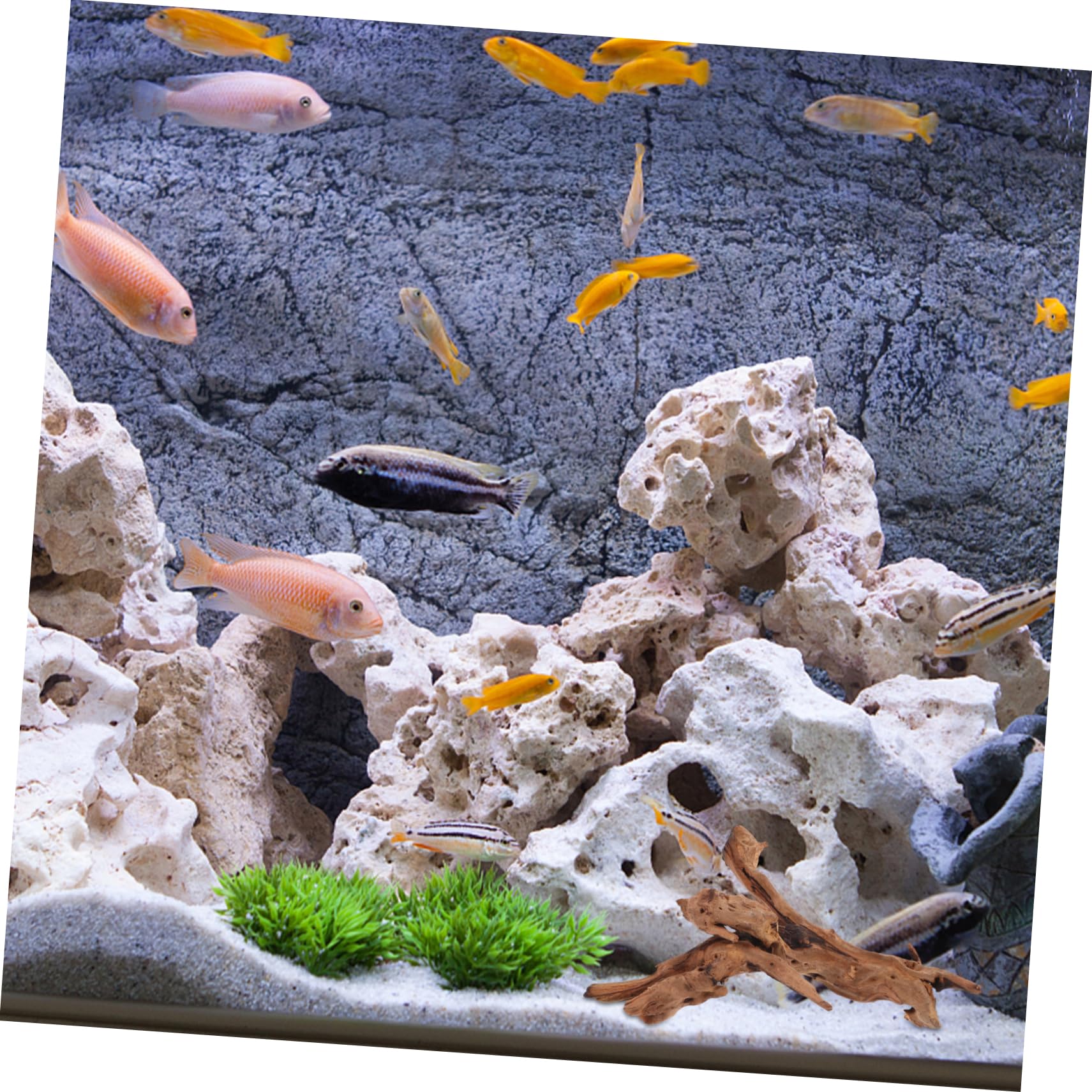 Abaodam Natural Dead-Wood Decor for Fish Tank Large Driftwood Aquatic Aquarium Decoration Random Shape (20-25cm)