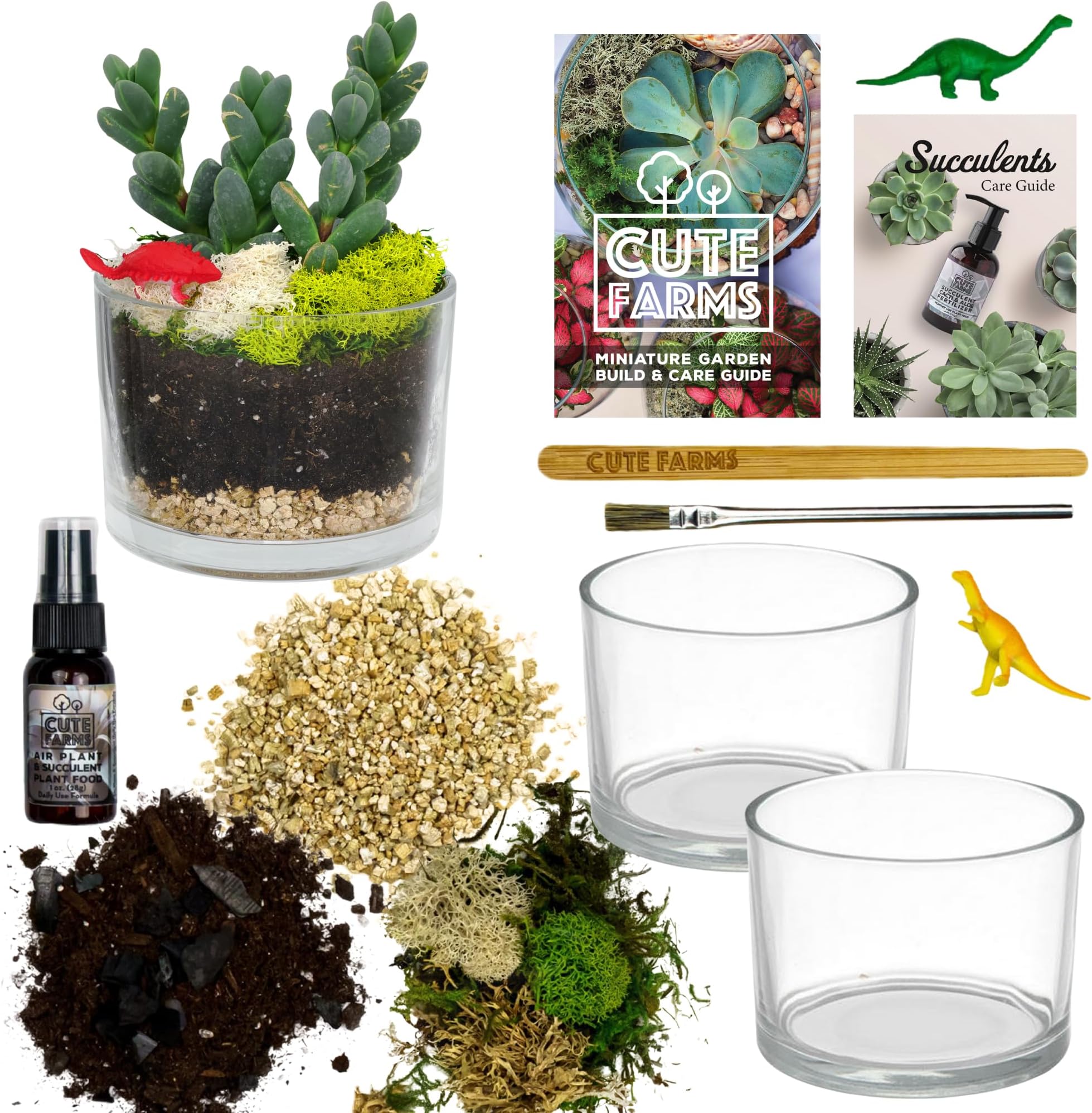 Hanging Glass Bubble Terrarium Kit