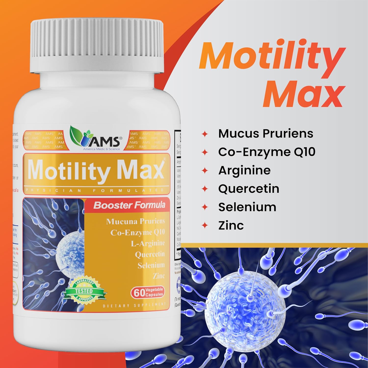 Motility Max – Supports Sperm Motility & Reproductive Health Promotes Healthy Blood Flow, Libido & Testosterone Levels Antioxidant Formula with L-Arginine, L-Carnitine & Essential Nutrients 60 Capsule - Image 4