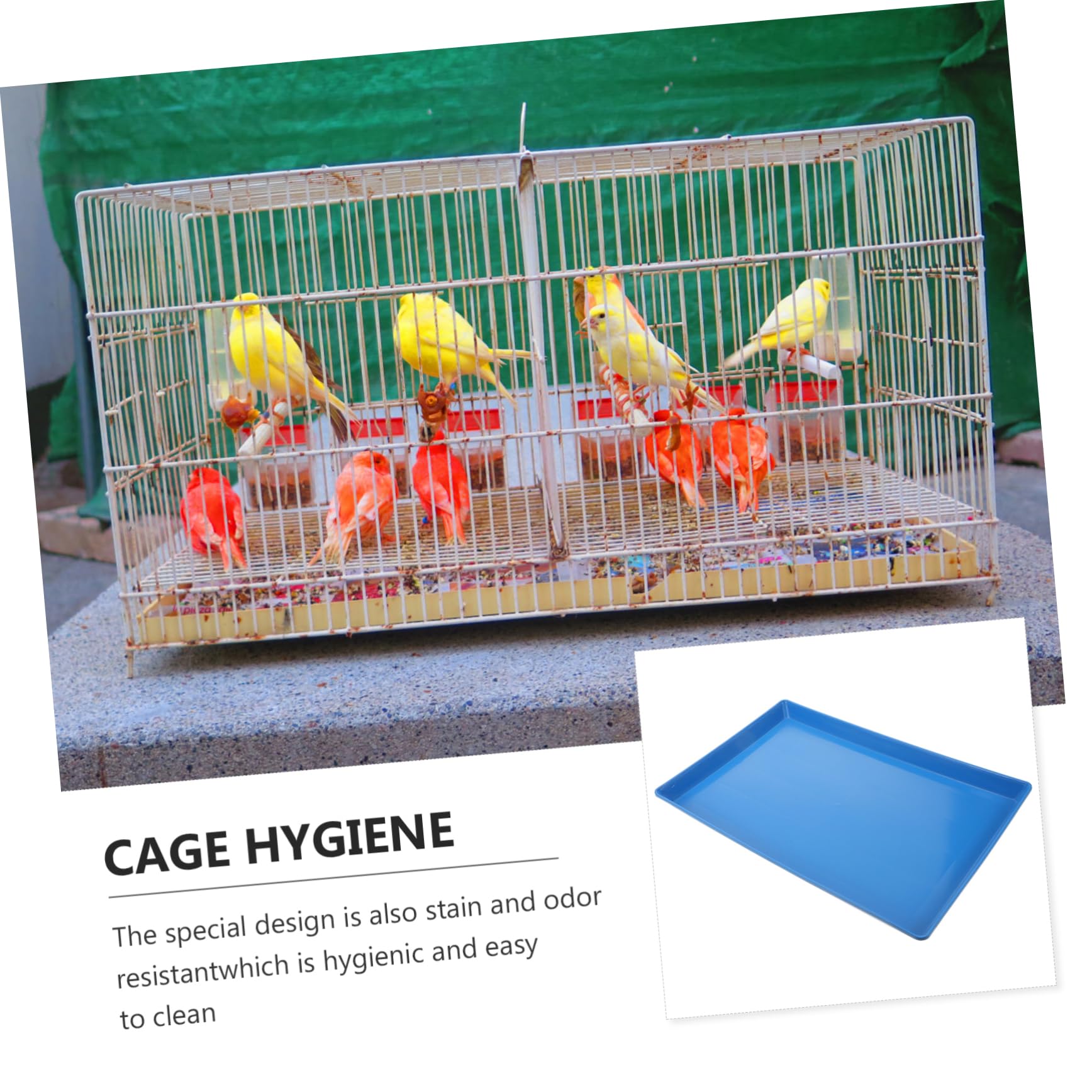 Porta Traversina per Cestino Animali Domestici in Plastica Blu, Progettato per Gabbie e Cage Cani, Facile da Pulire e Adatto a Diverse Toilette per Animali