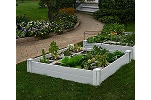Vita Raised Garden Bed Provides Ample Space for Healthy Growth