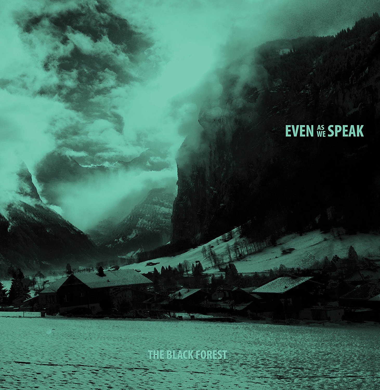 The Black Forest [VINYL]