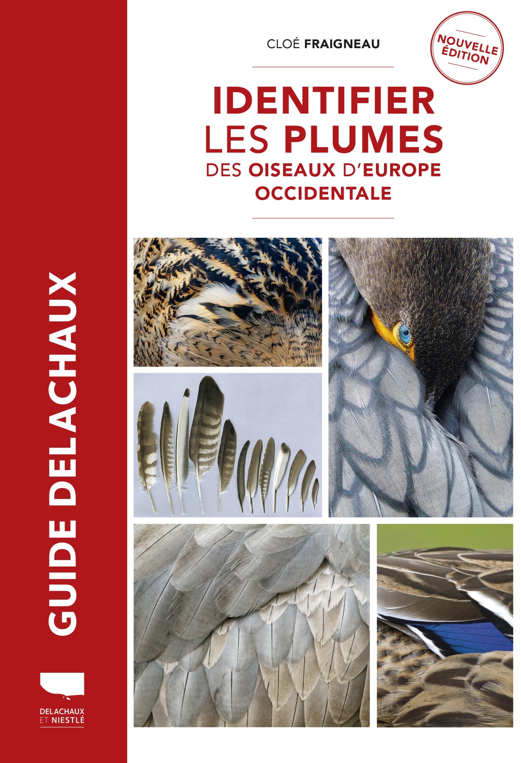 Identifier les plumes des oiseaux d’Europe occidentale