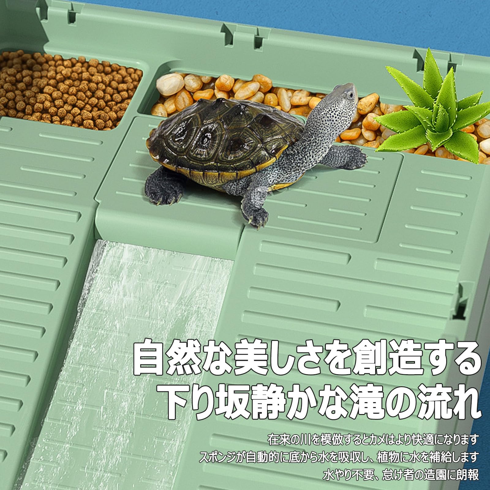 Amazon | TAKEY亀 水槽 蓋付き カメ用水槽 亀飼育用水槽 折りたたみ 
