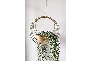 Stunning Gold Hanging Planter: Elevate Indoor Ambiance