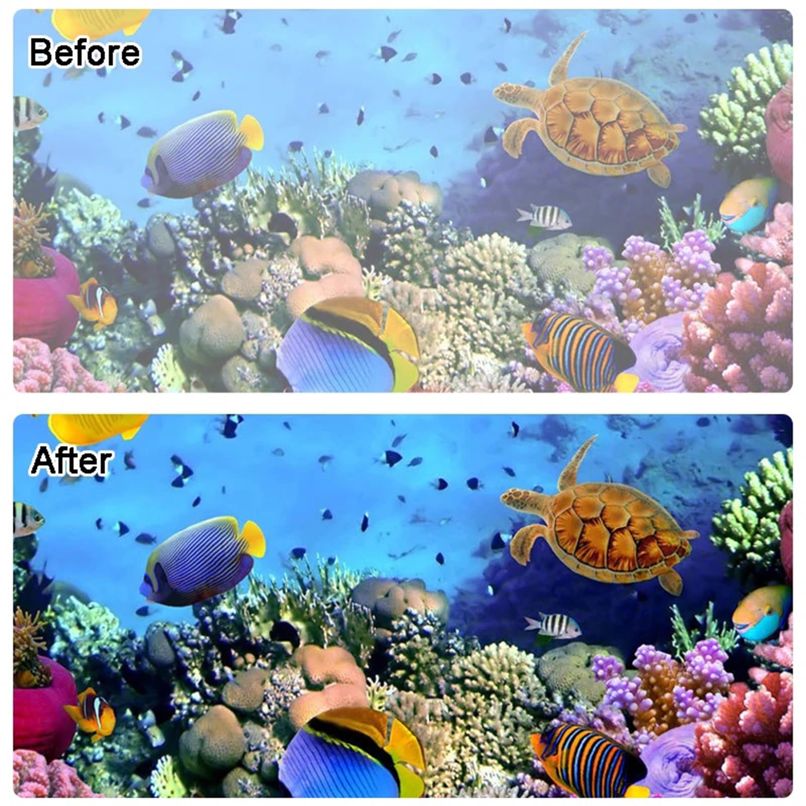 Inserti anti-appannamento subacquei per immersioni impermeabili, assorbitori di umidità riutilizzabili per immersioni, snorkeling e sport acquatici, compatibili con custodie GoPro e maschere subacquee