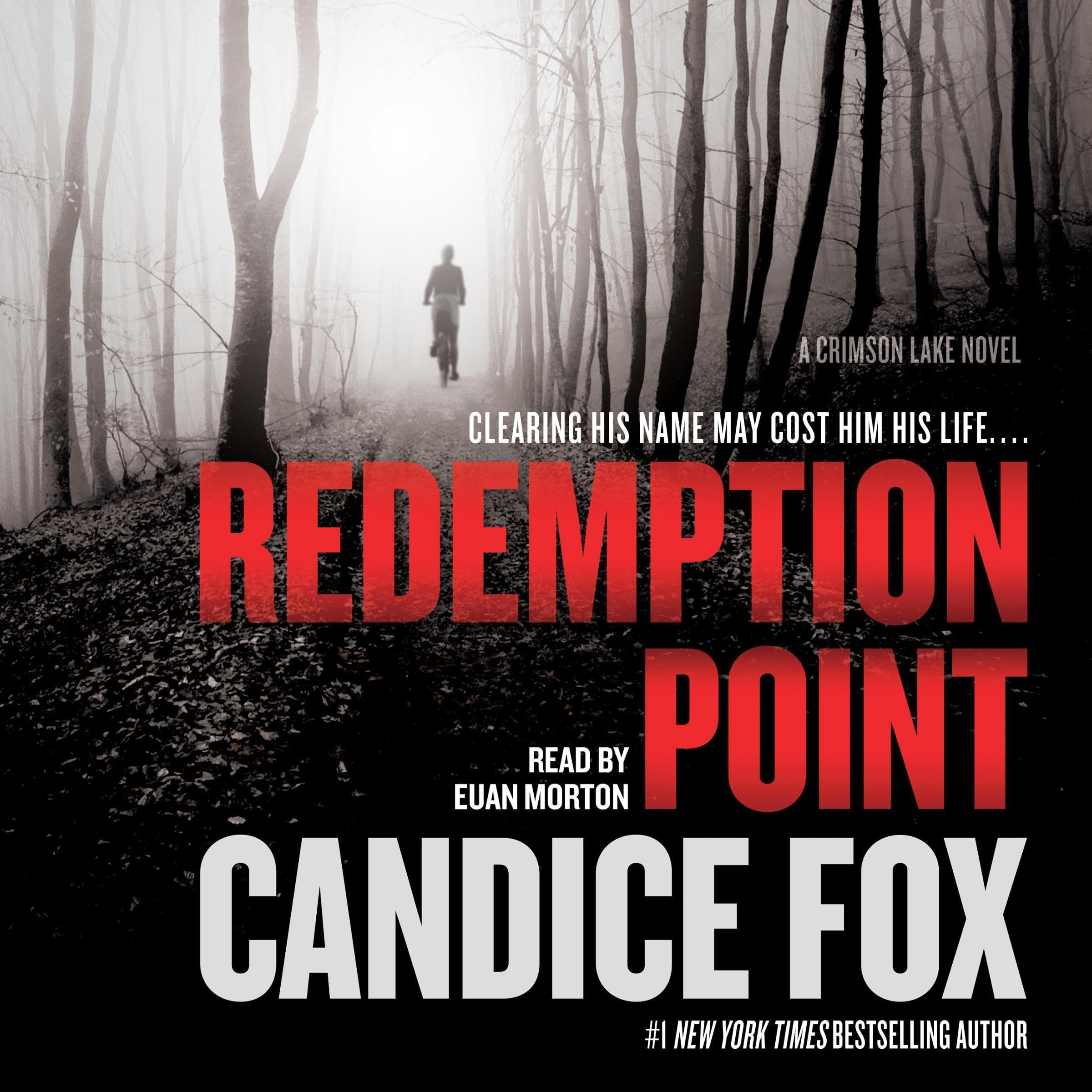 Cover art for Redemption Point