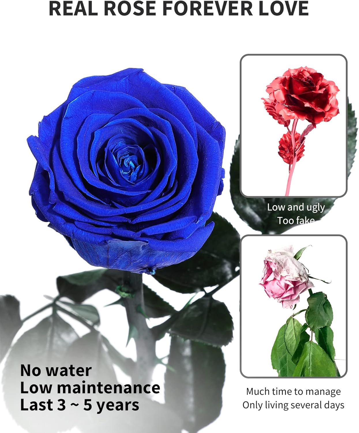 Blue Flowers for Delivery Prime, Preserved Blue Roses Flower Gifts for Women, Real Roses Single Rose Gifts for Her, Mom Birthday Gifts from Daughter, Valentines Flowers - Image 3