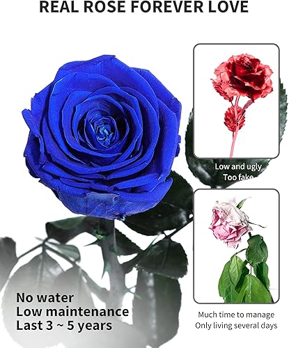 Miniatura 3 de Flores azules para entrega, rosas azules preservadas, regalos de flores para mujeres, rosas reales, regalos de rosas individuales para ella, regalos