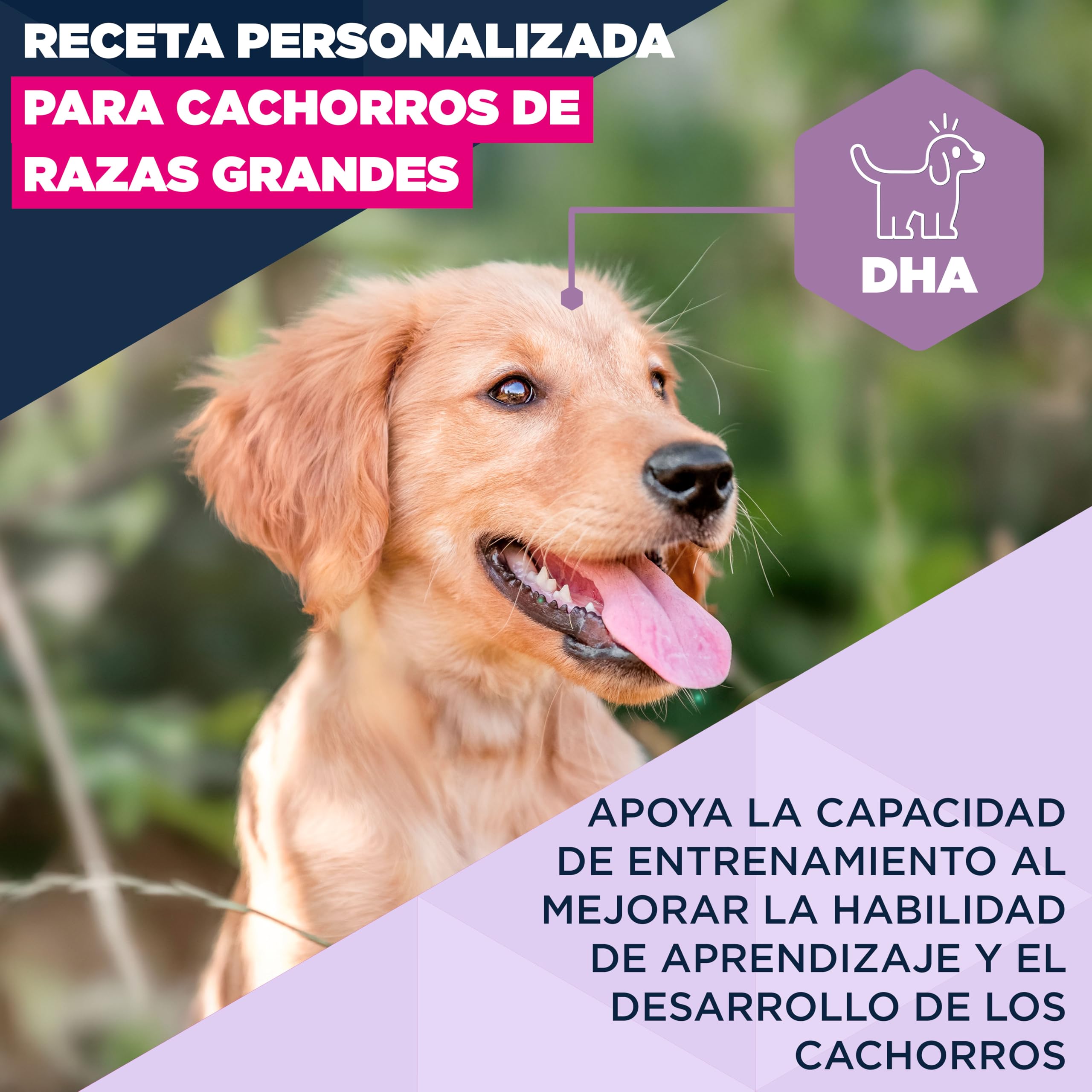 Eukanuba, alimento para Cachorros con Cordero y arroz para Razas Grandes - Alimento seco Premium para Perros Junior, 12 kg