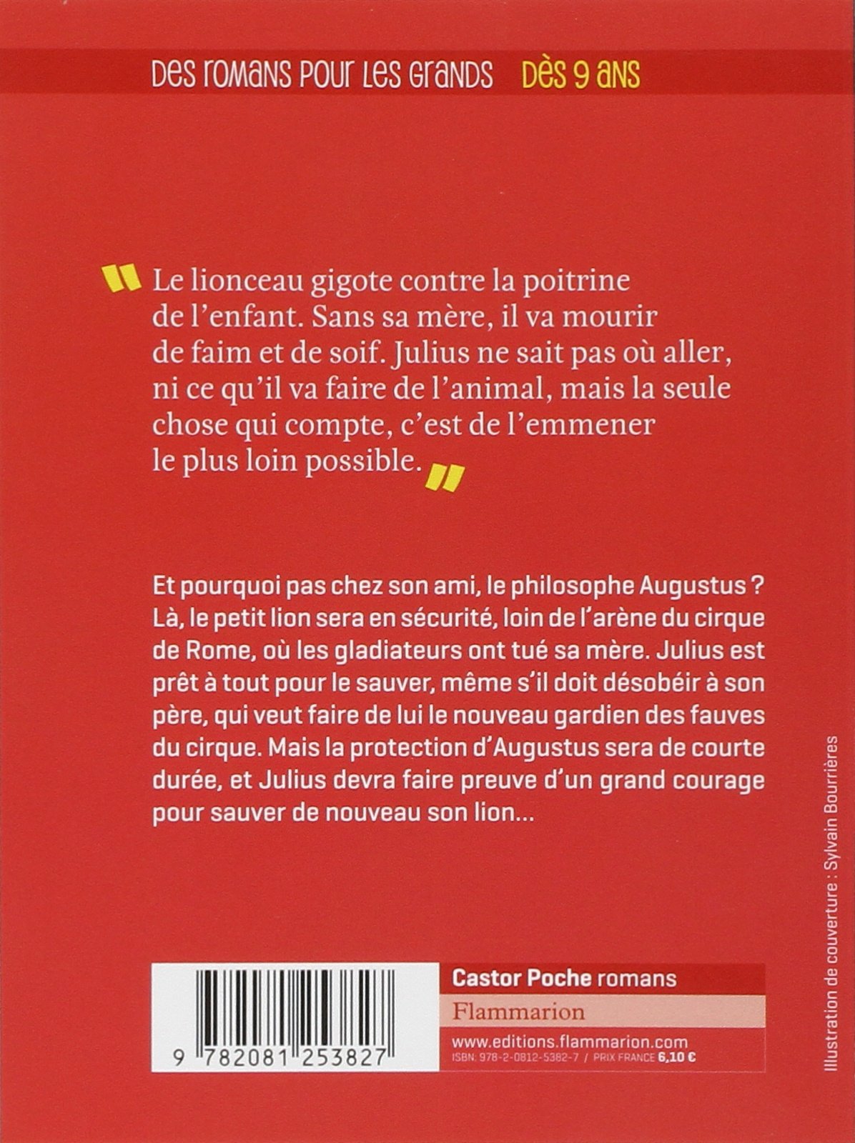 Le Coupeur De Mots Questions Et Reponses Amazon.fr - Le lion de Julius - Reynaud, Florence - Livres