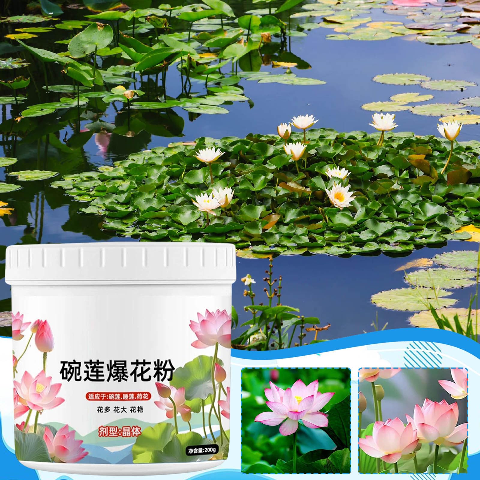 Wasserpflanzendnger 200G, Dnger Wasserlily - Lotuswachstum Pulver,  Seerosen-Nhrstoffbltendnger, Teichpflanzen Nhrstoff fr Effektiver  Pflanzenblten-Booster, Strkerteichblte Dnger : Amazon.de: Garten