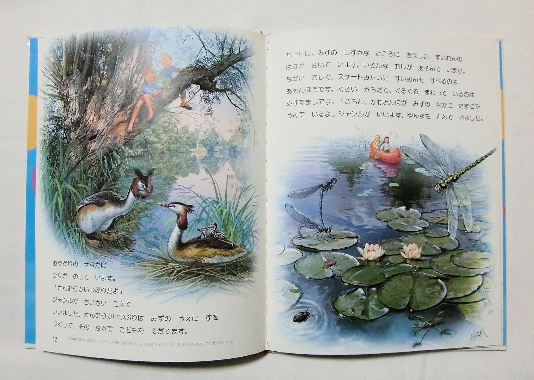 最終値下げ☆ファランドールえほん☆美品☆3セット Amazon.co.jp: 【かわの ジャンルと ソフィ ＜ファランドールえほん 28