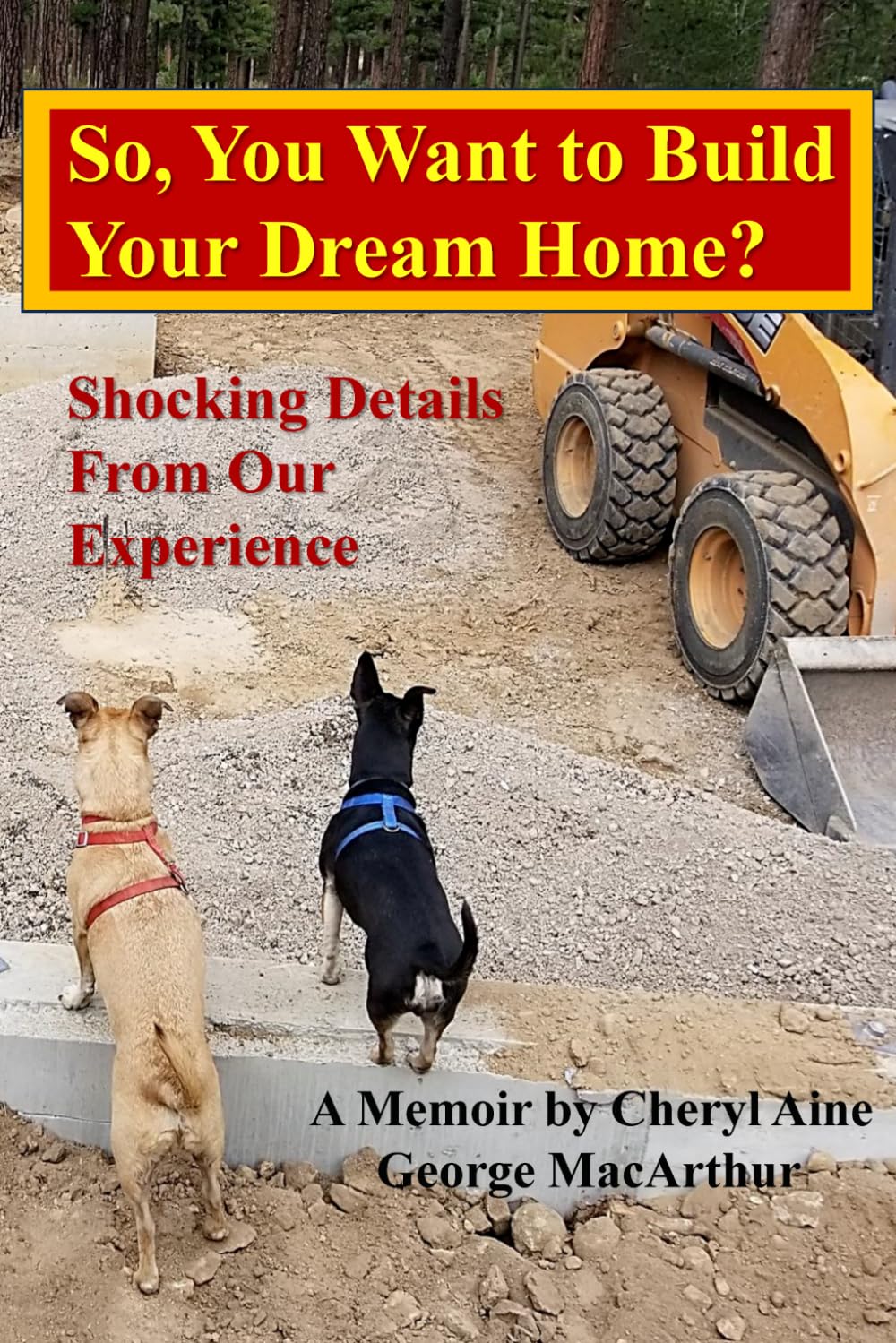 So, You Want to Build Your Dream Home?: Shocking Details From Our Experience