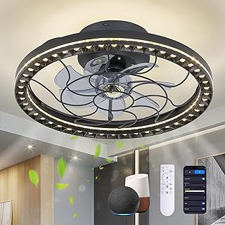 Smart LED Ceiling Fans - 19 inch Ceiling Fan with Light Low Profile, APP Control, Work with Alexa and Google Assistant, 3 Color Stepless Dimmable, 6 Speed Quiet Reversible, Black, A293