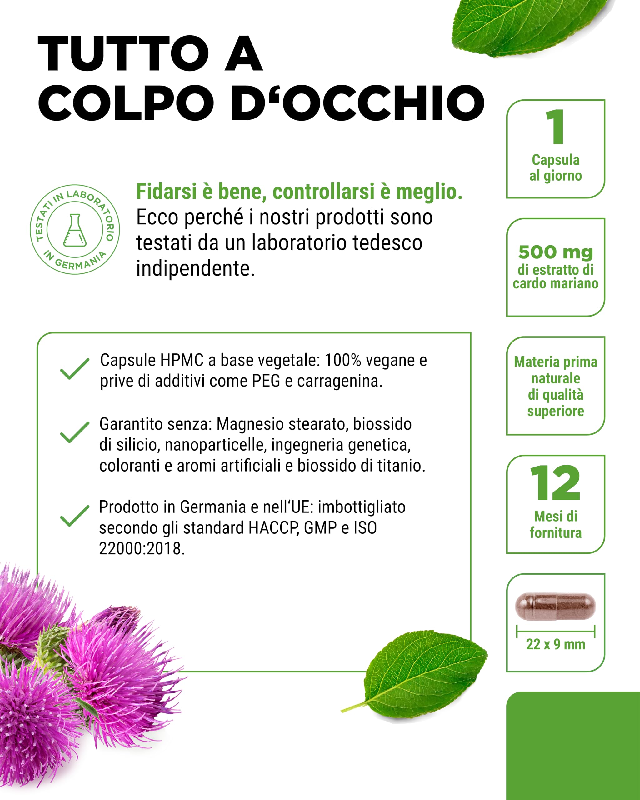 Estratto di cardo mariano 365 capsule da 500 mg ciascuna - contenuto di silimarina all'80% - fornitura per 12 mesi - dosaggio elevato - vegano